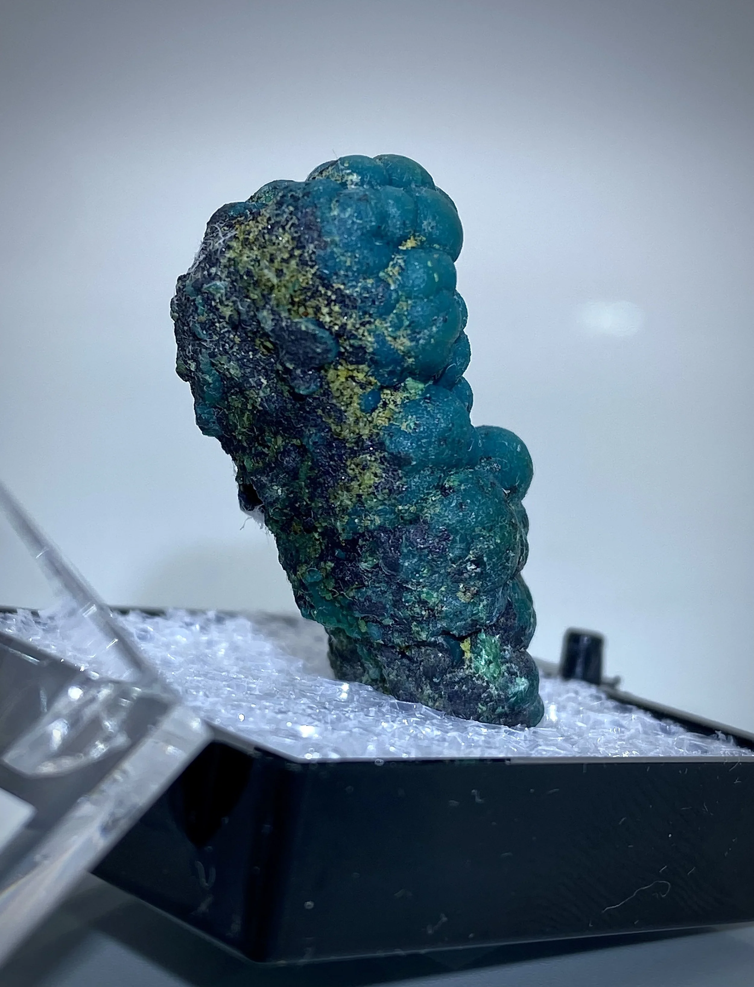 CHRYSOCOLLA - LUDWIG MINE NEVADA 7.jpeg