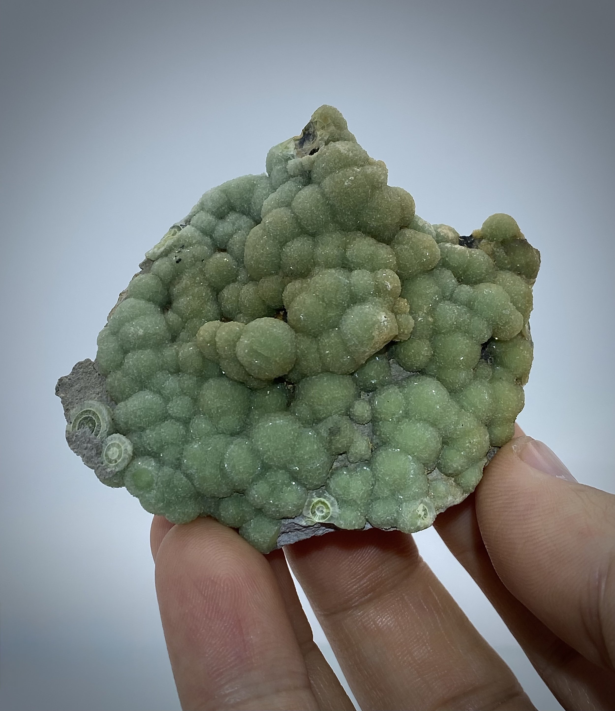 Wavellite-Mauldin Mountain Quarries, Mauldin Mt., Montgomery Co., Arkansas, USA 10.jpeg