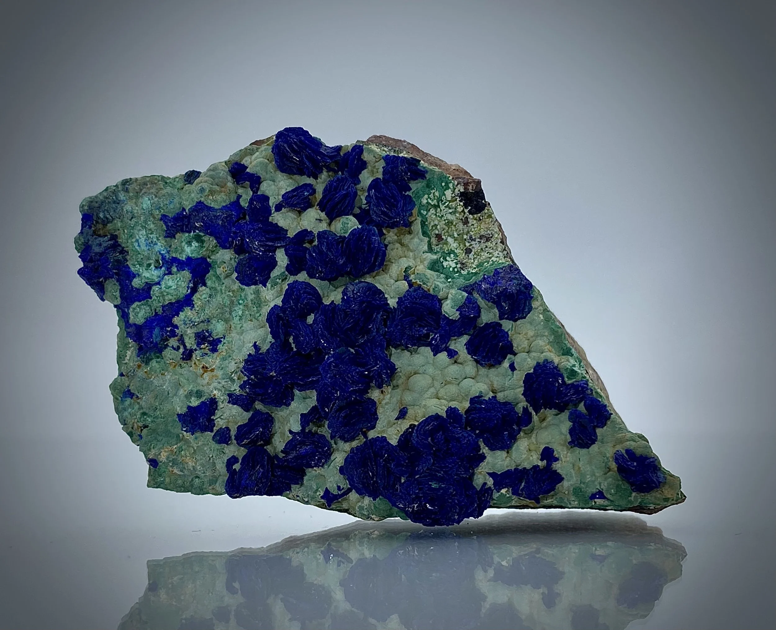 メネギニ鉱　USA JB Gems and Minerals - Azurite on Malachite, Morenci Mine, Arizona