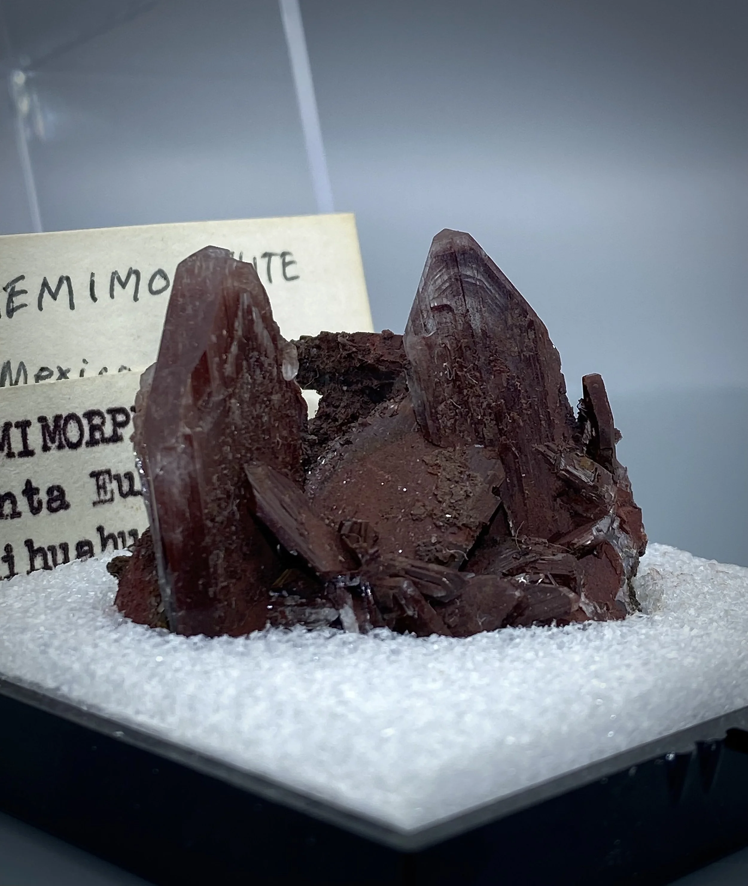 IMG_2092.jpeg (Copy)