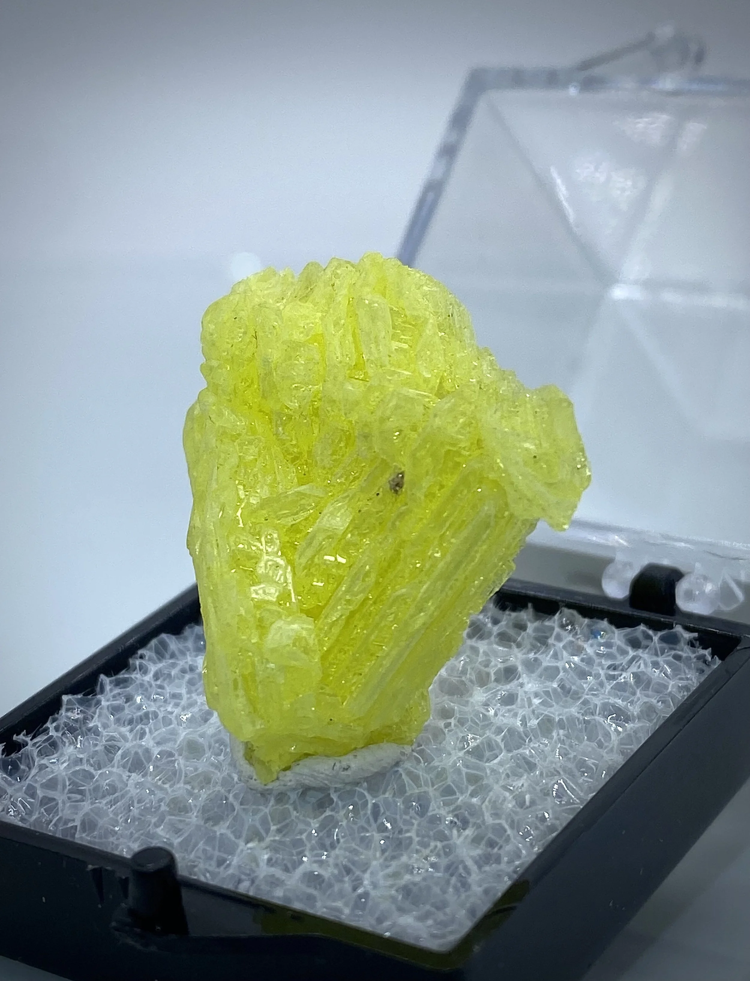 SULFUR-STEAMBOAT SPRINGS, NEVADA 2.jpeg