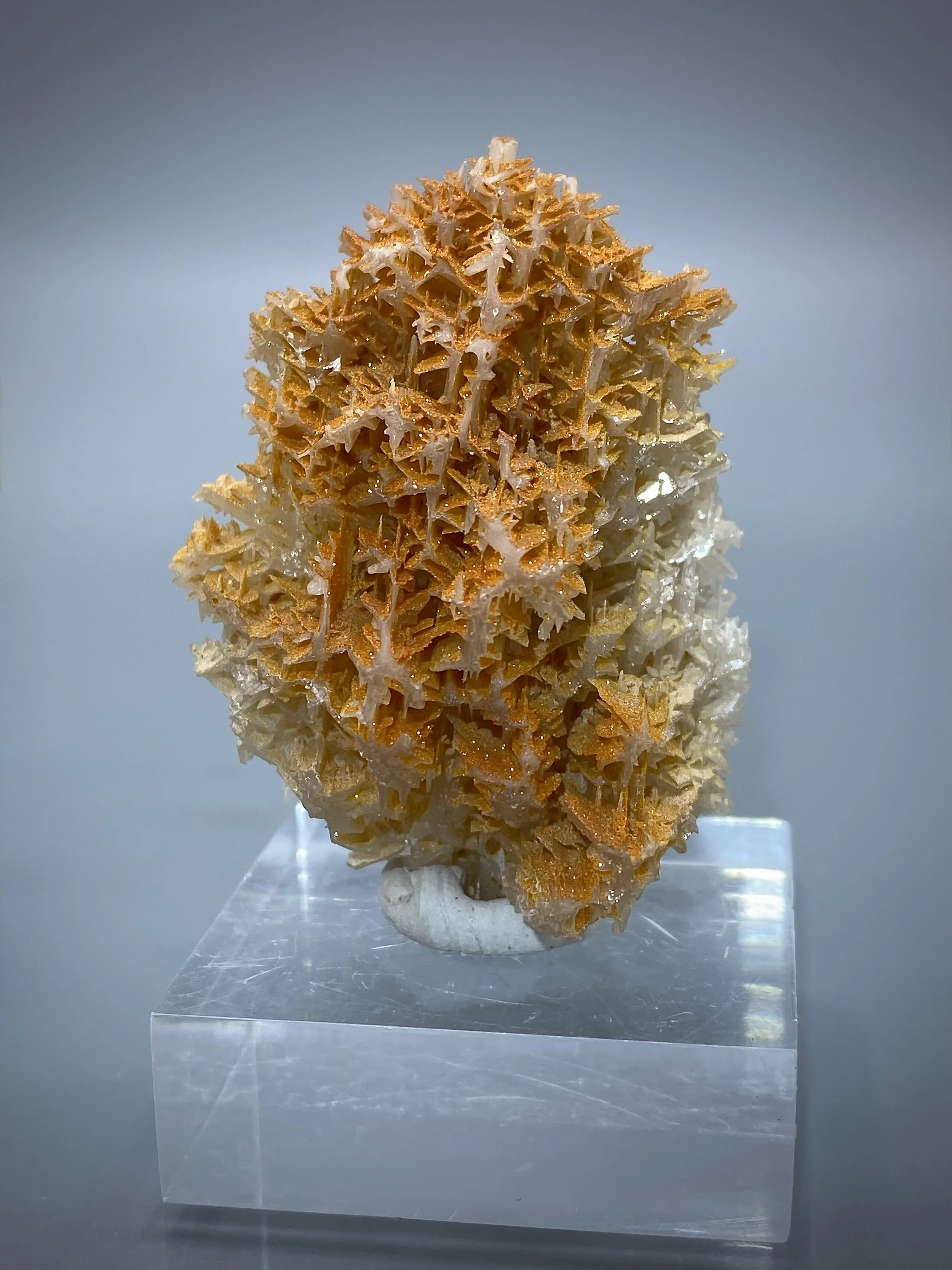 Cerrusite with Wulfenite, Iran (Nakhlak Mine, Isfahan) 4.jpeg