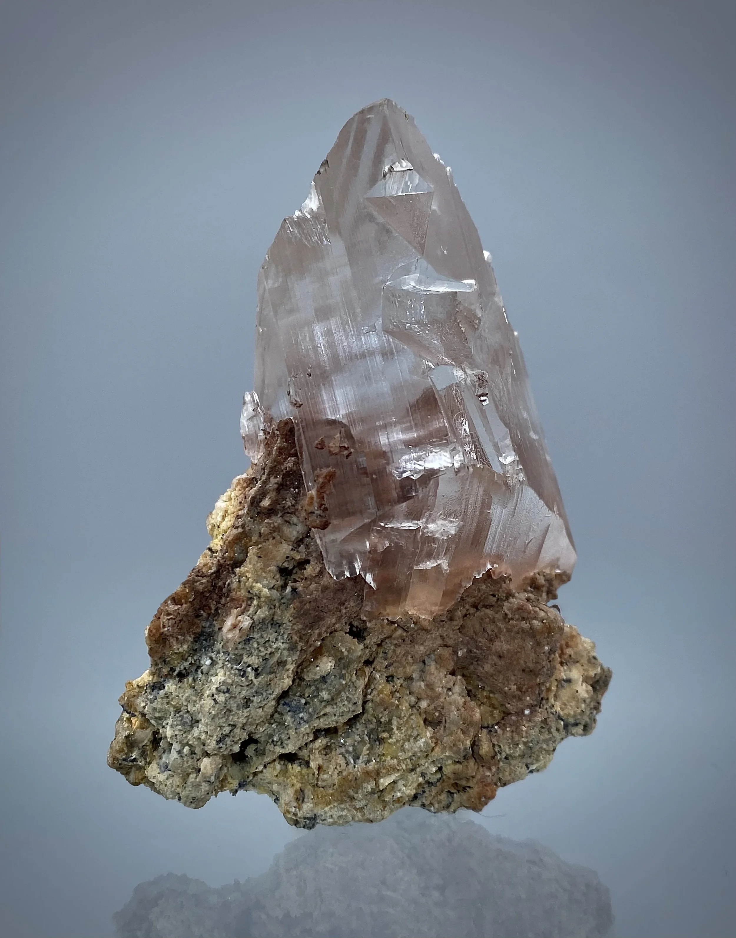 IMG_2061.jpeg (Copy)