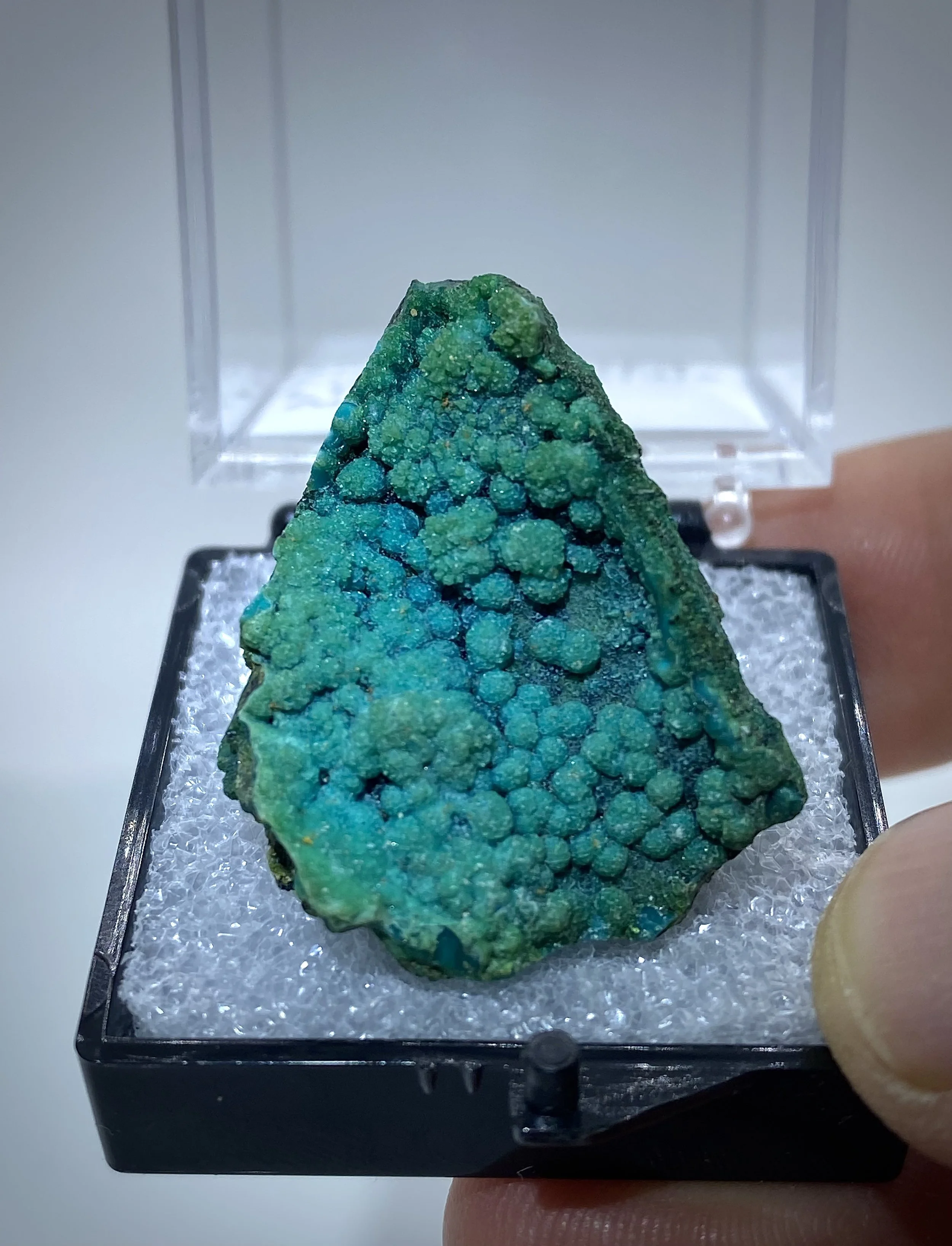 CHRYSOCOLLA - LUDWIG MINE NEVADA 1.jpeg