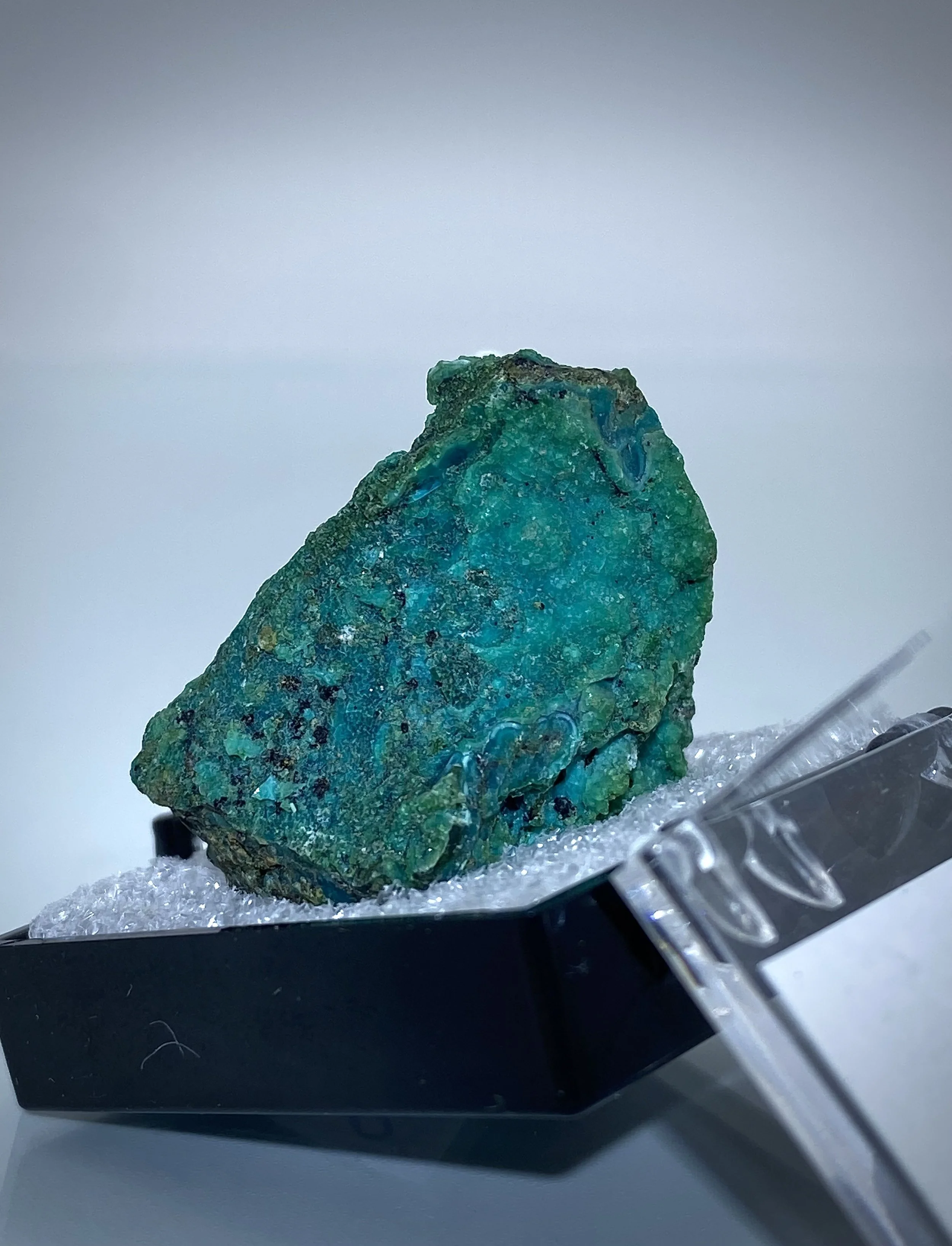 CHRYSOCOLLA - LUDWIG MINE NEVADA 7.jpeg