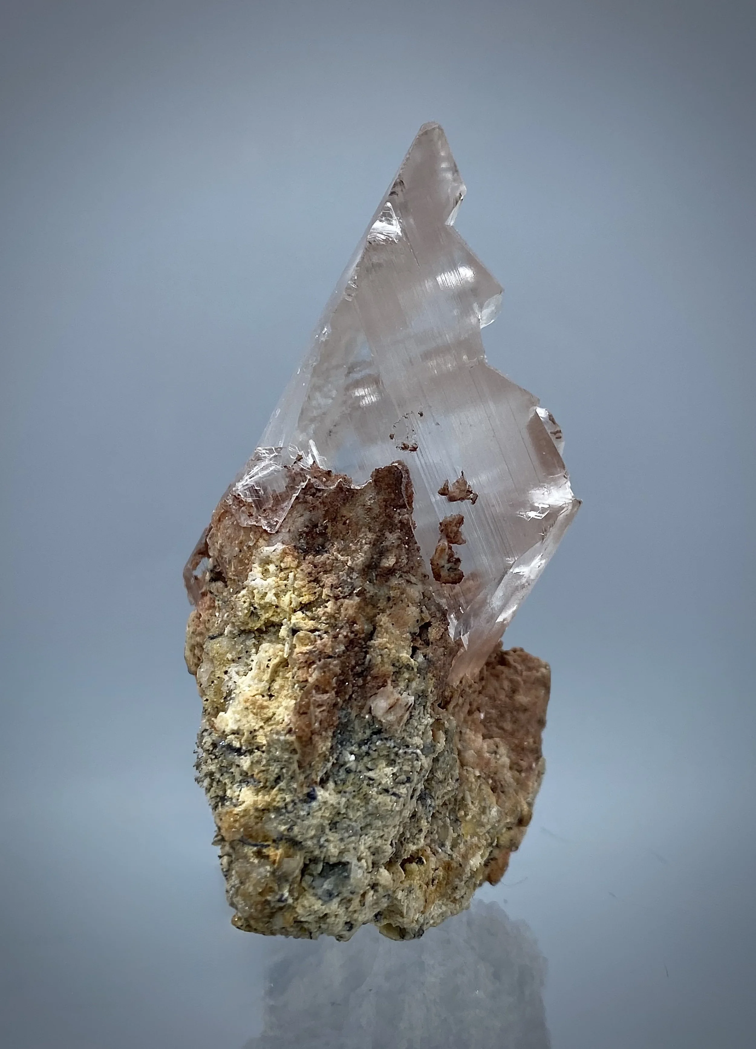 IMG_2062.jpeg (Copy)