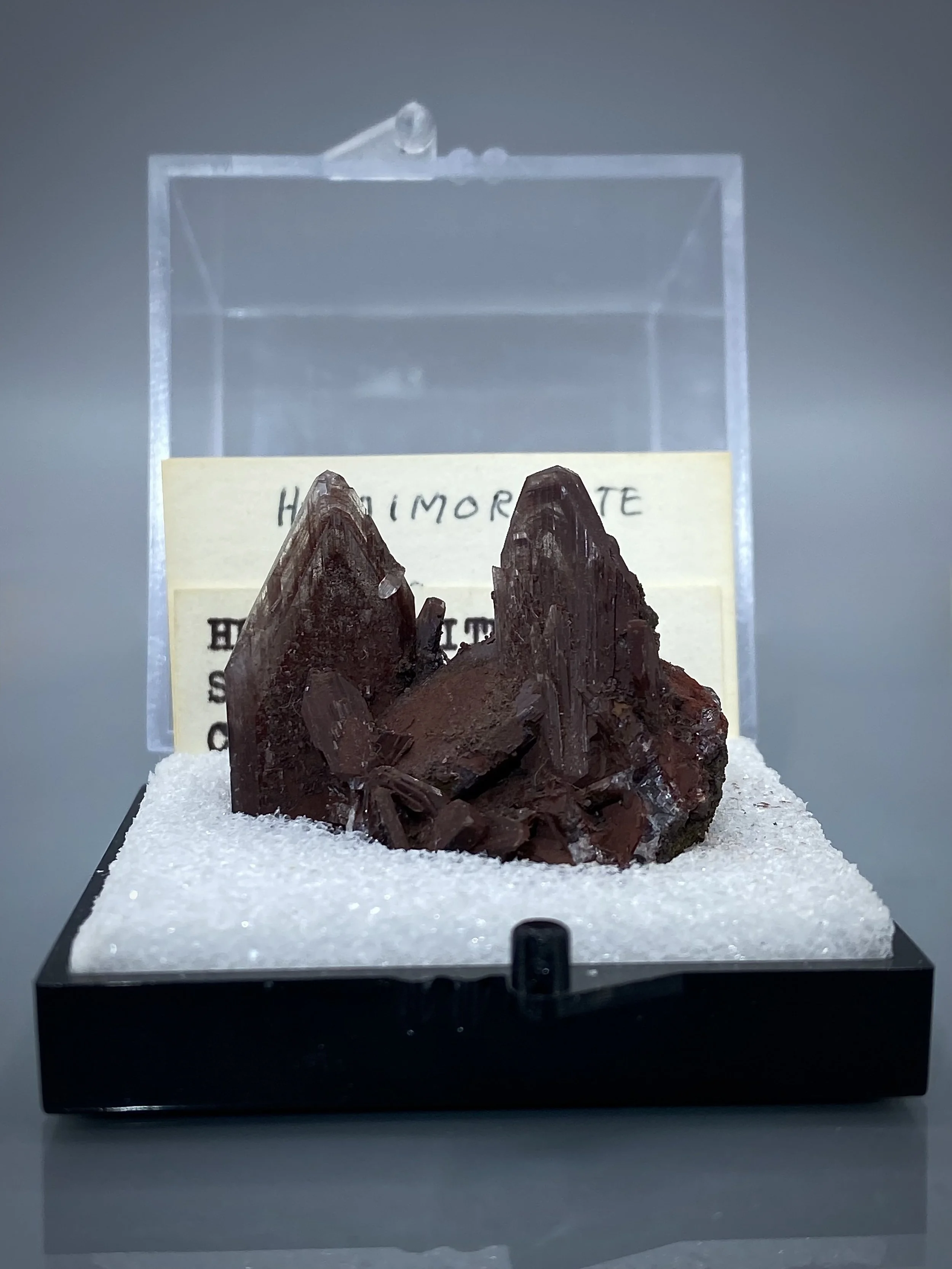 IMG_2085.jpeg (Copy)