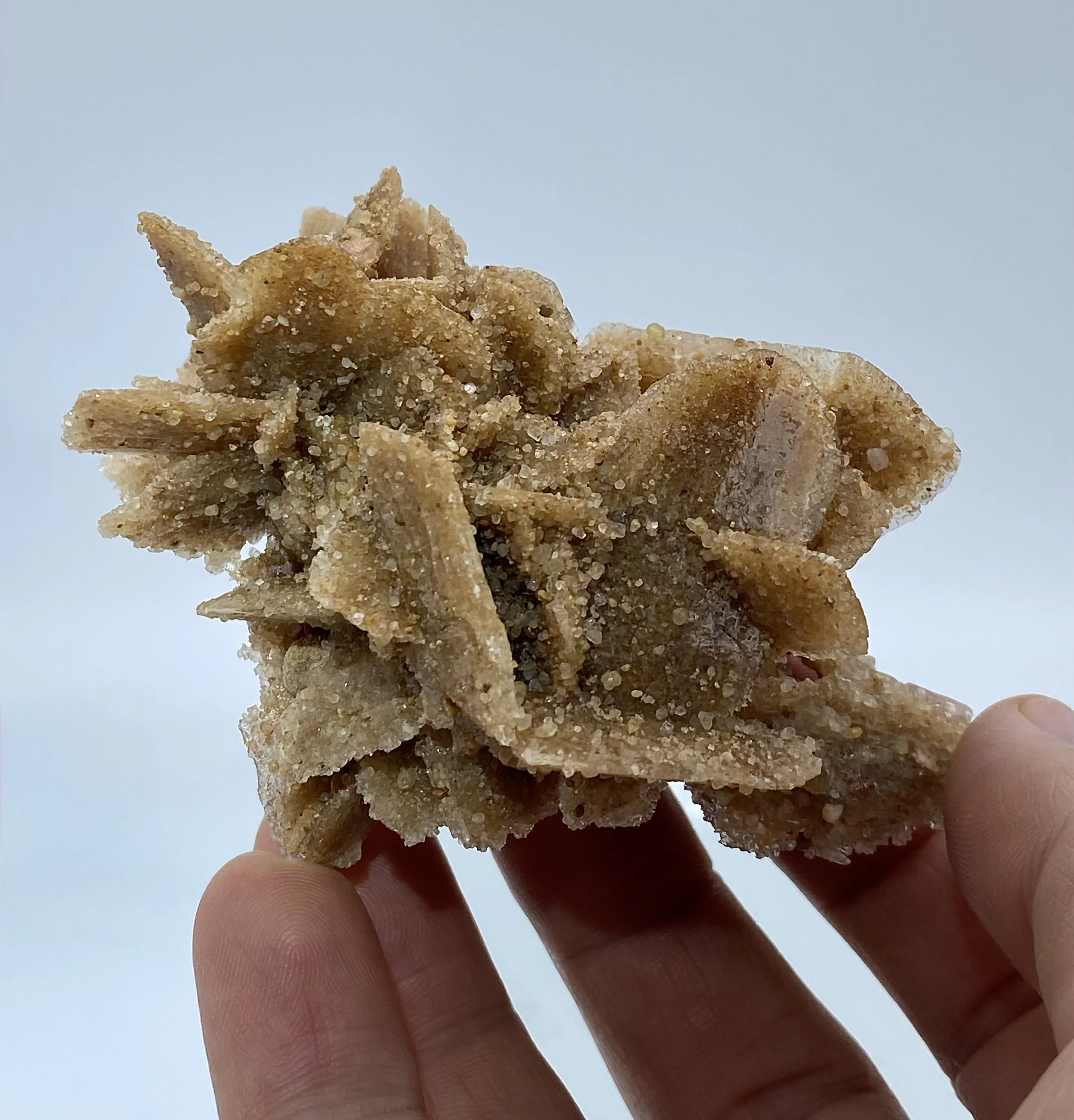 Selenite Great Salt Plains Jet Oklahoma 12.jpeg