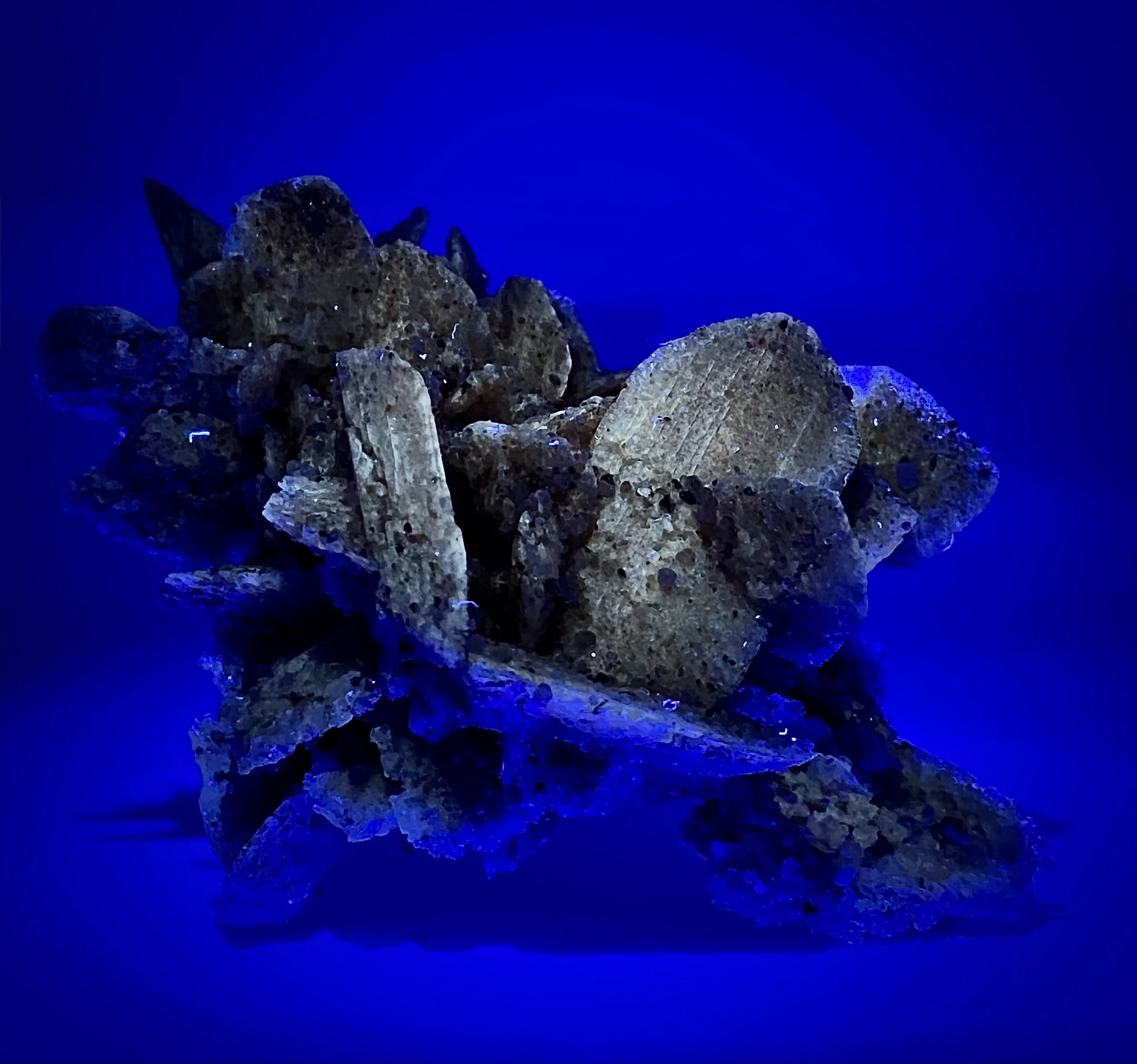 Selenite Great Salt Plains Jet Oklahoma 11.jpeg