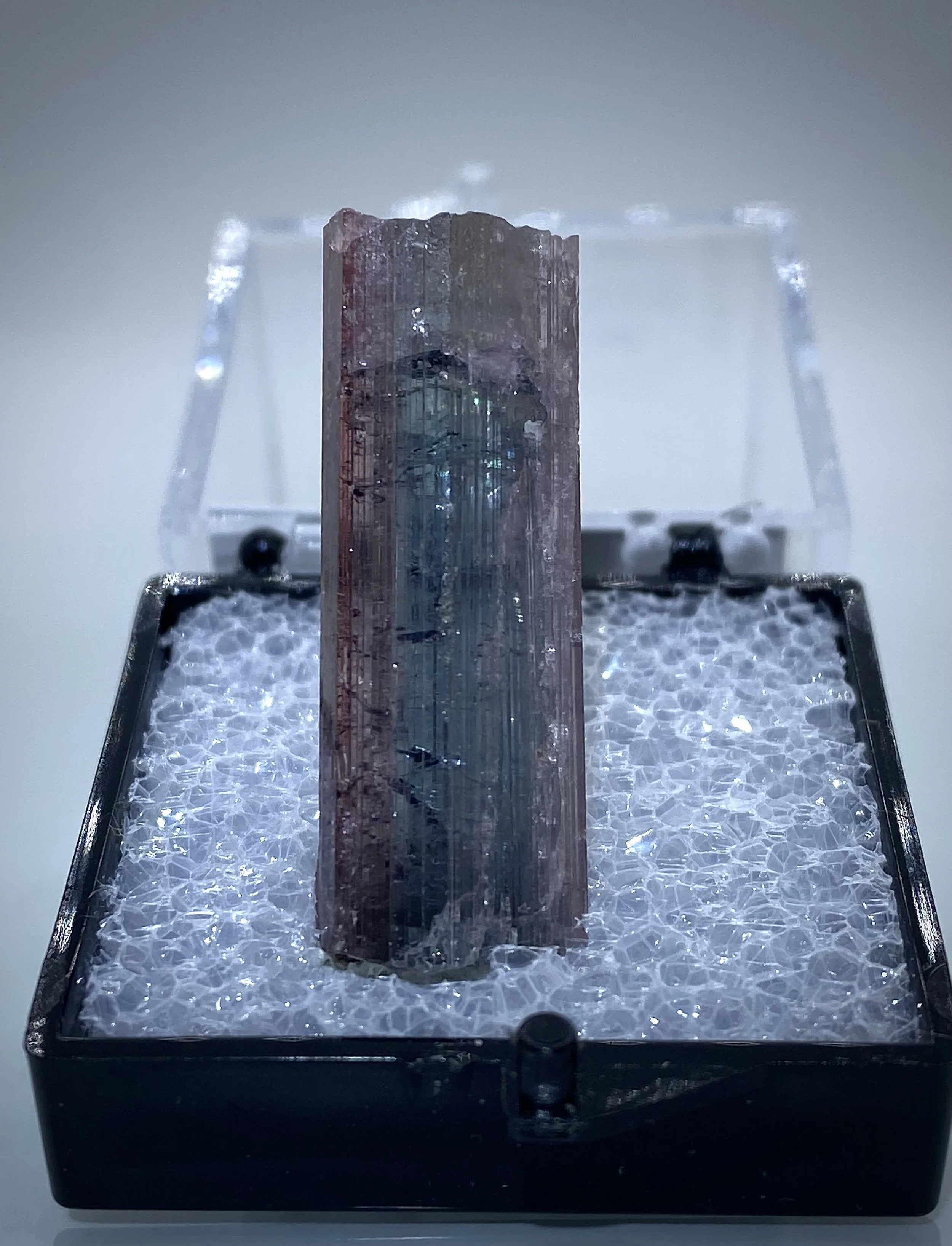TOURMALINE - HIMALAYA MINE, CALIFORNIA 3.jpeg