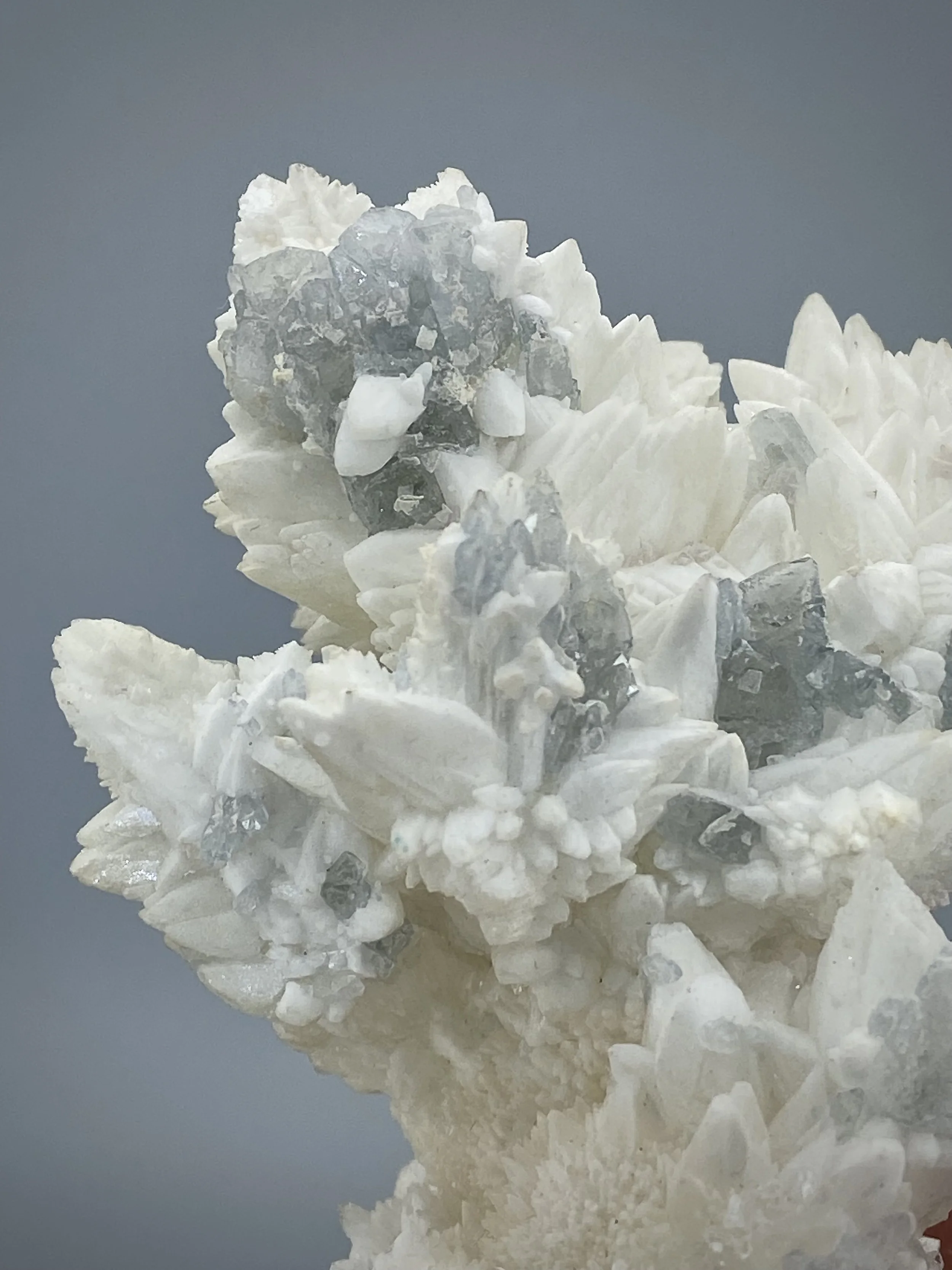 CELESTINE ON CALCITE-MOJINA MINE MEXICO17.jpeg