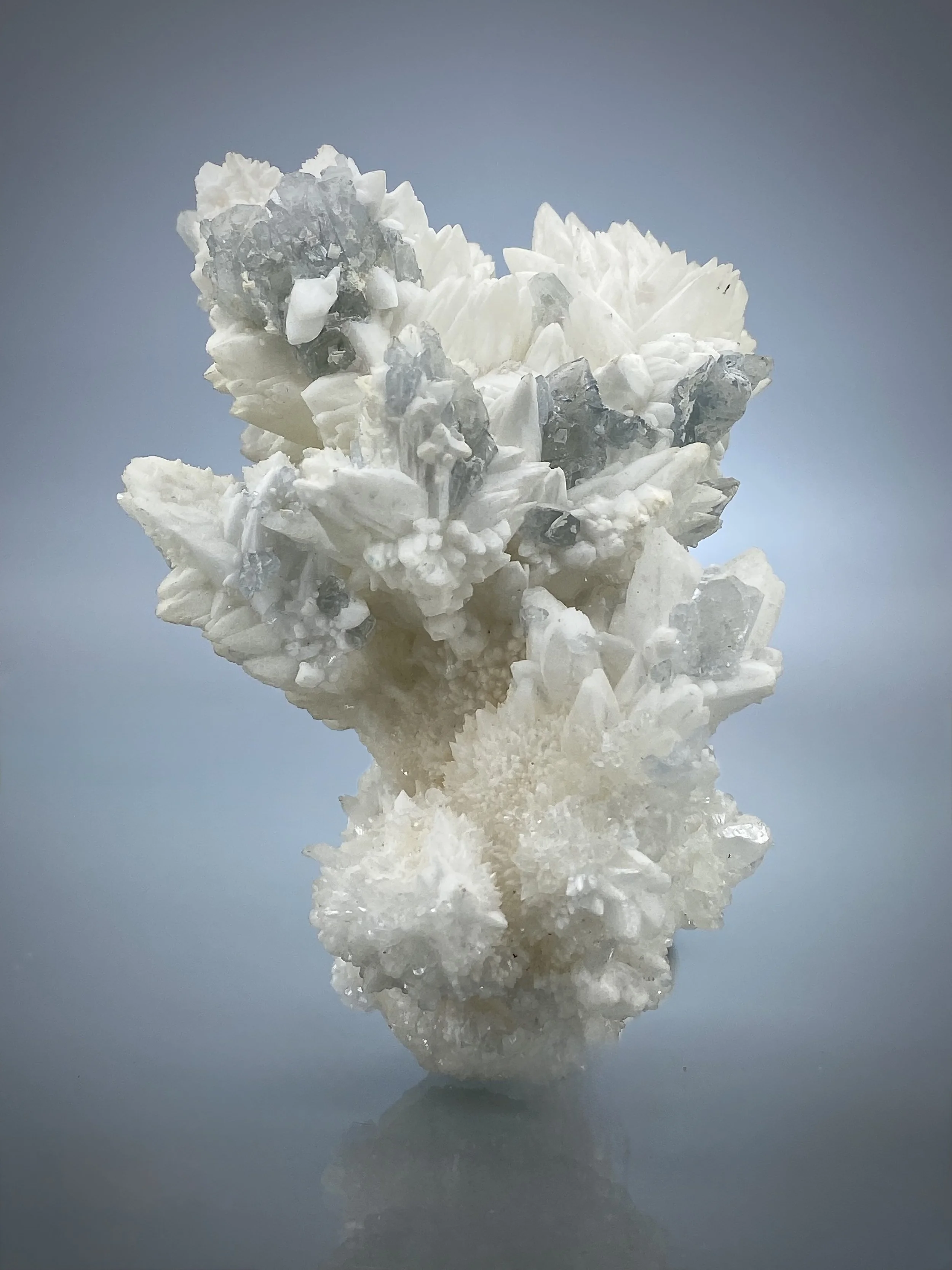 CELESTINE ON CALCITE-MOJINA MINE MEXICO1.jpeg