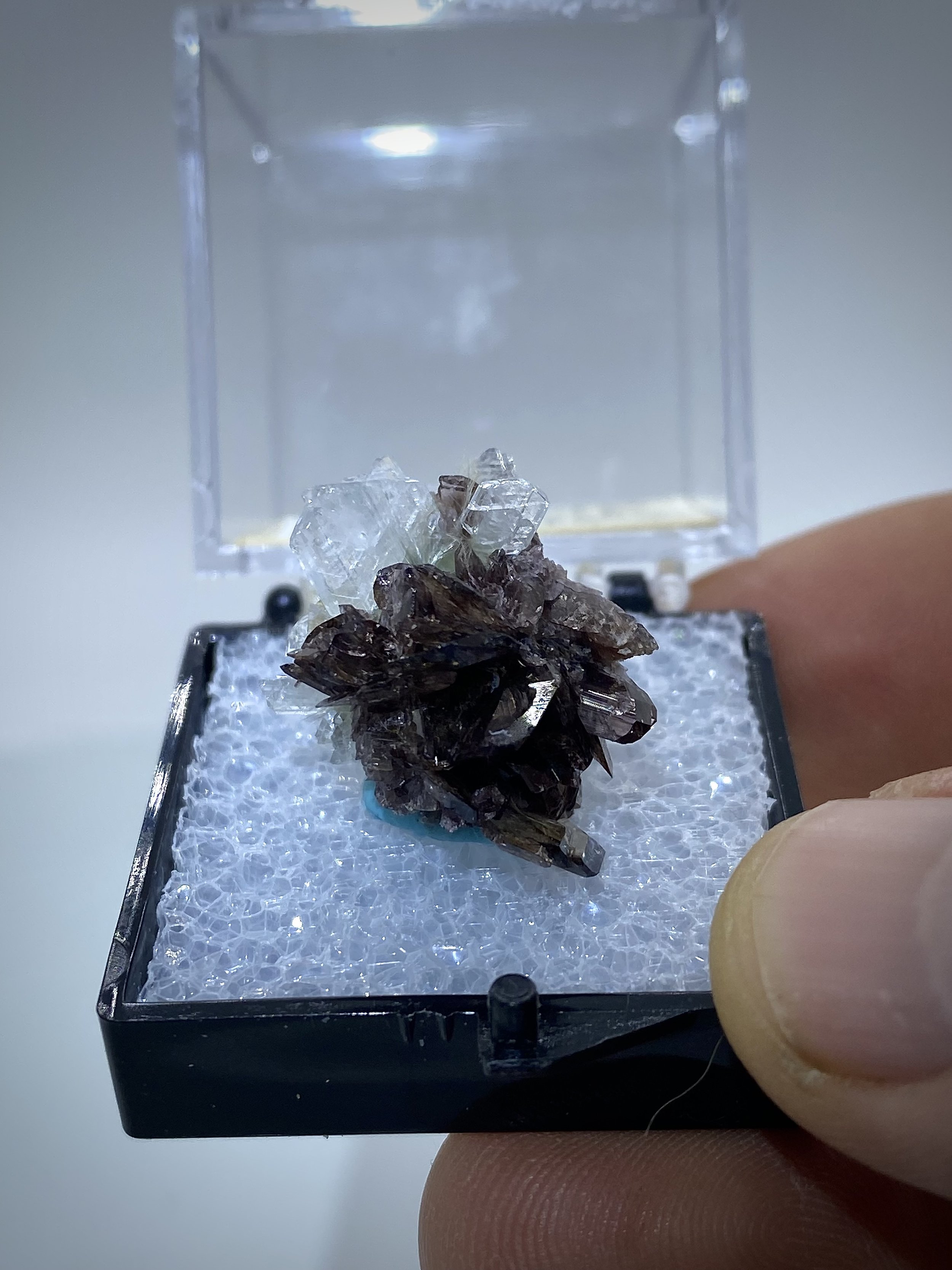 FERROAXINITE - NEW MELONES DAM, CALIFORNIA 8.jpeg