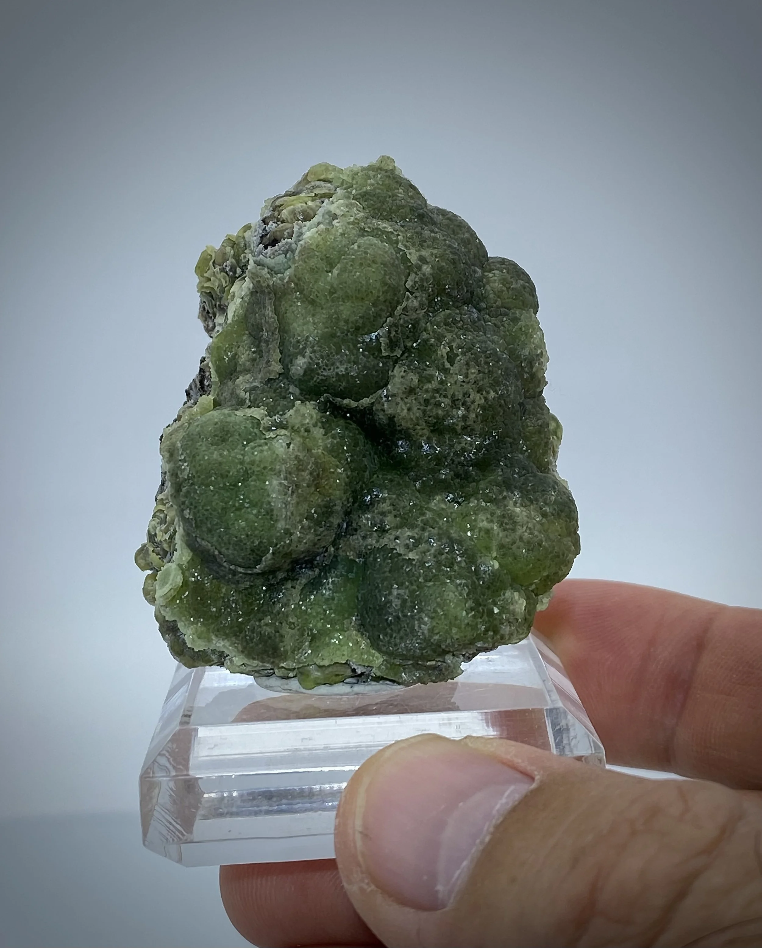 Smithsonite-79 Mine, Chilito, Hayden area, Banner Mining District, Gila County, Arizona, USA 9.jpeg
