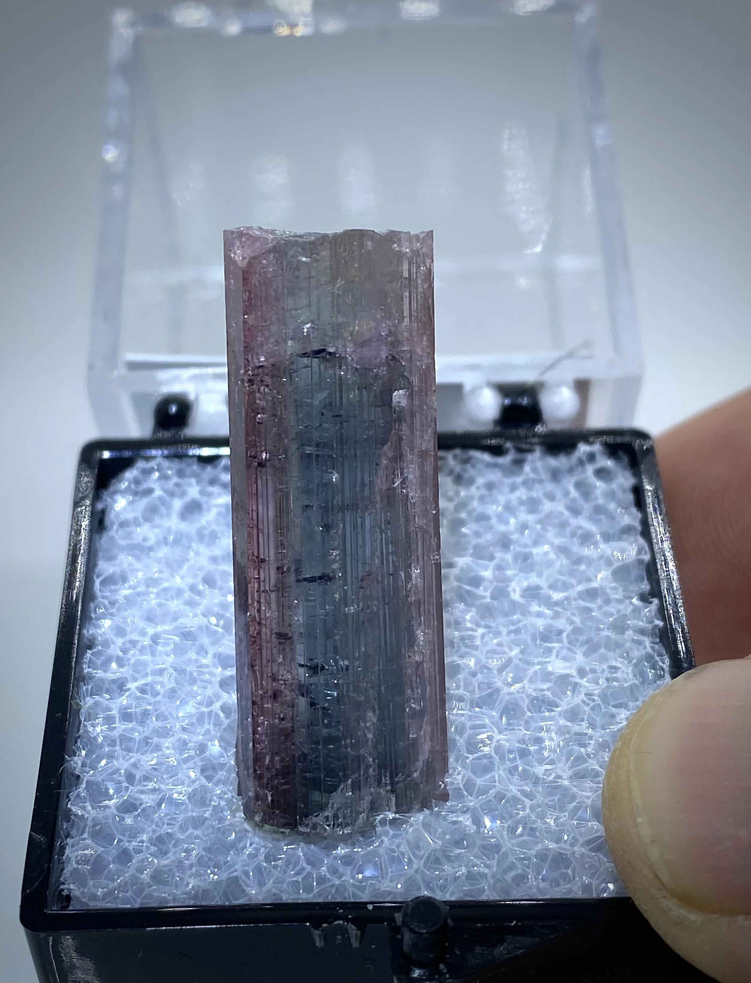 TOURMALINE - HIMALAYA MINE, CALIFORNIA 2.jpeg