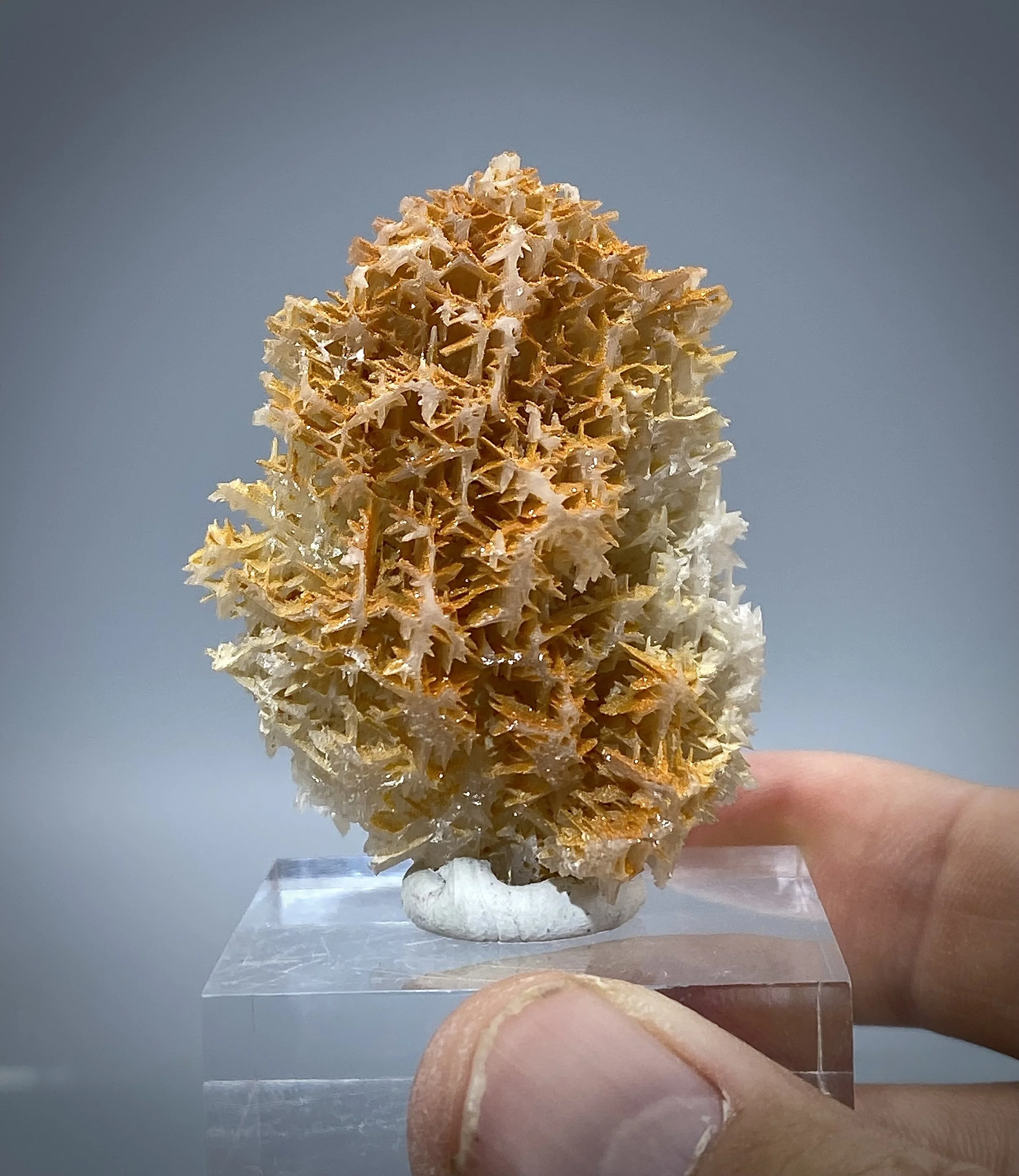 Cerrusite with Wulfenite, Iran (Nakhlak Mine, Isfahan) 11.jpeg