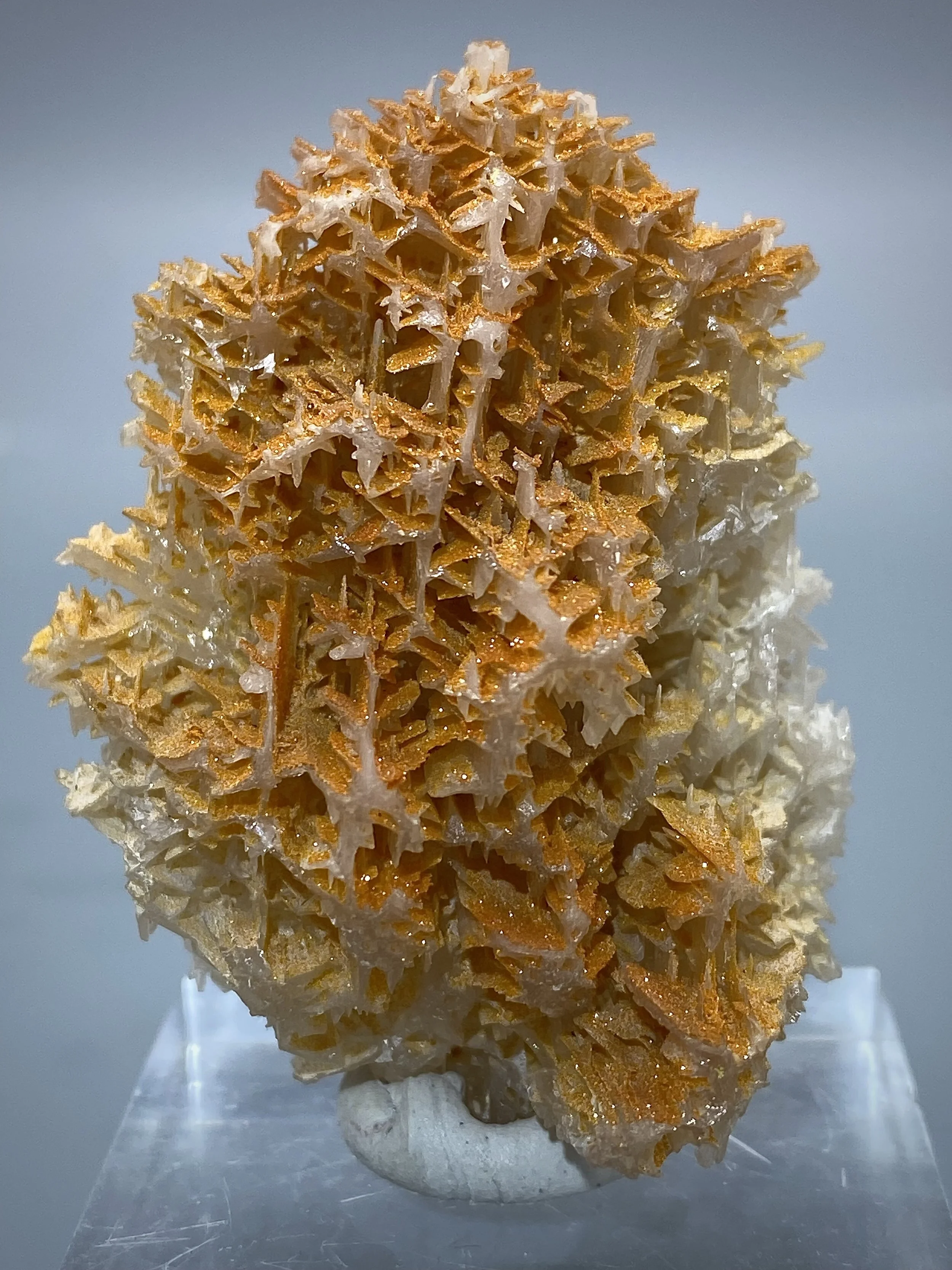 Cerrusite with Wulfenite, Iran (Nakhlak Mine, Isfahan) 10.jpeg