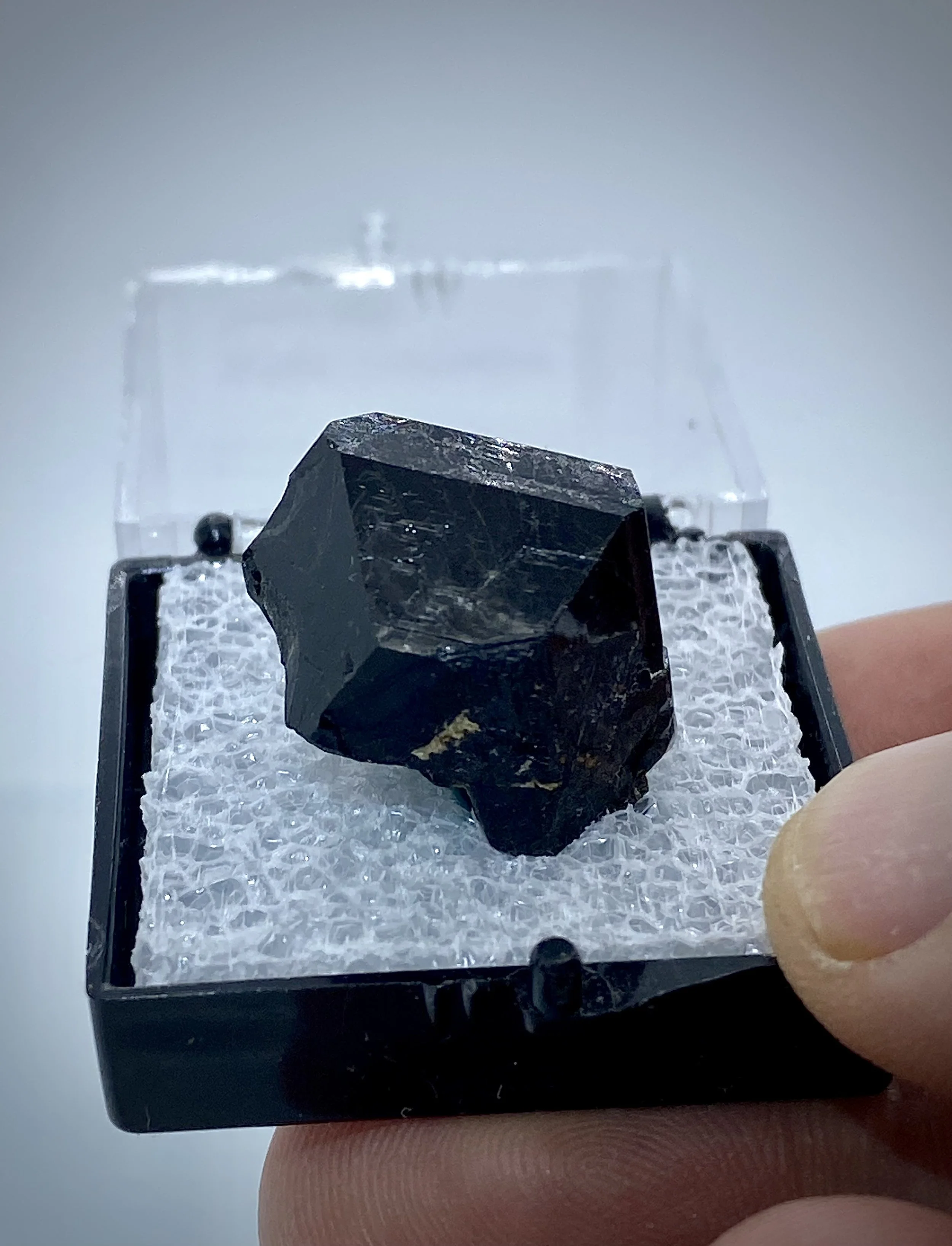 SCHORL TOURMALINE - TIMMS HILL, CONNECTICUT 8.jpeg