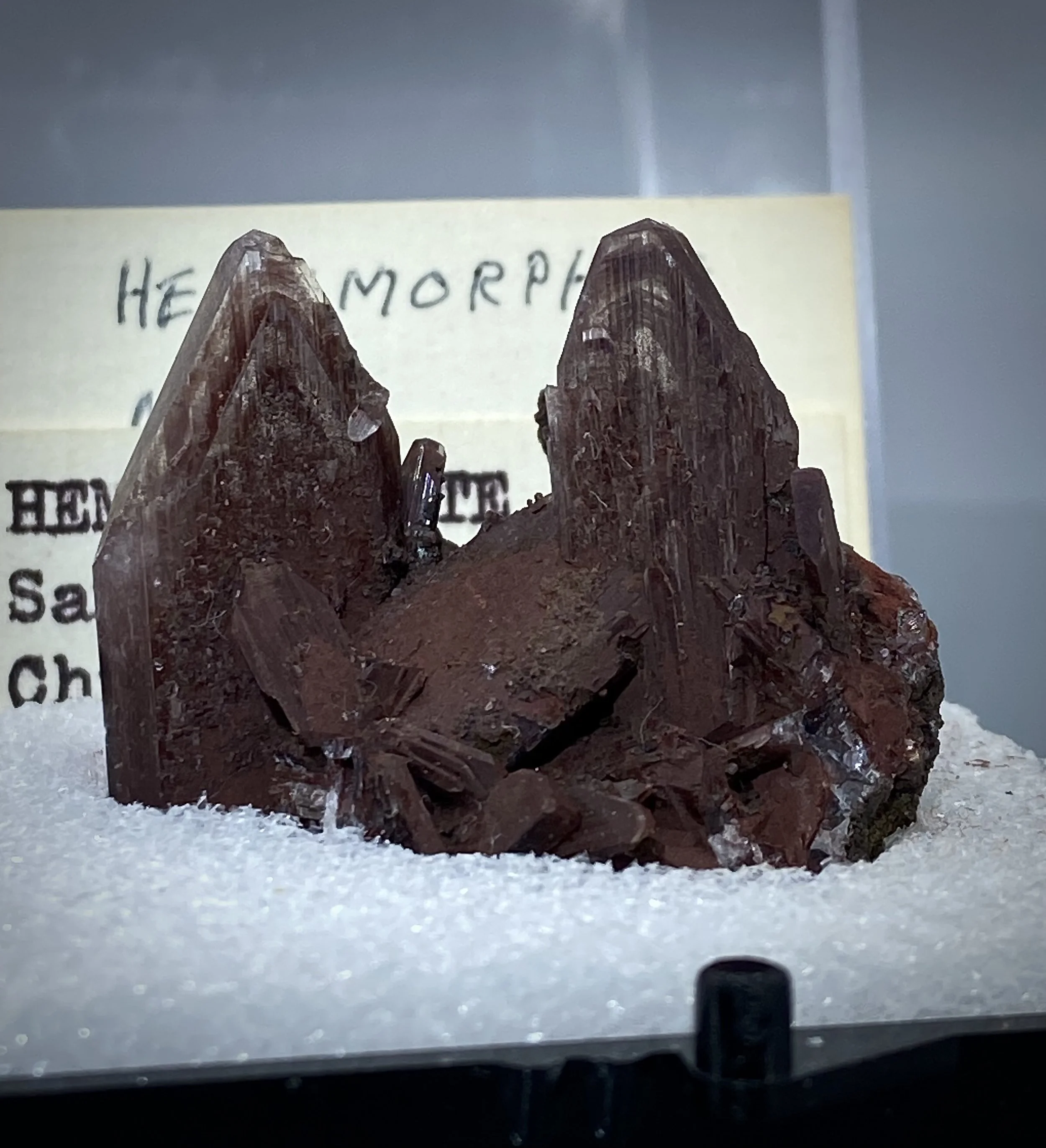 IMG_2086.jpeg (Copy)