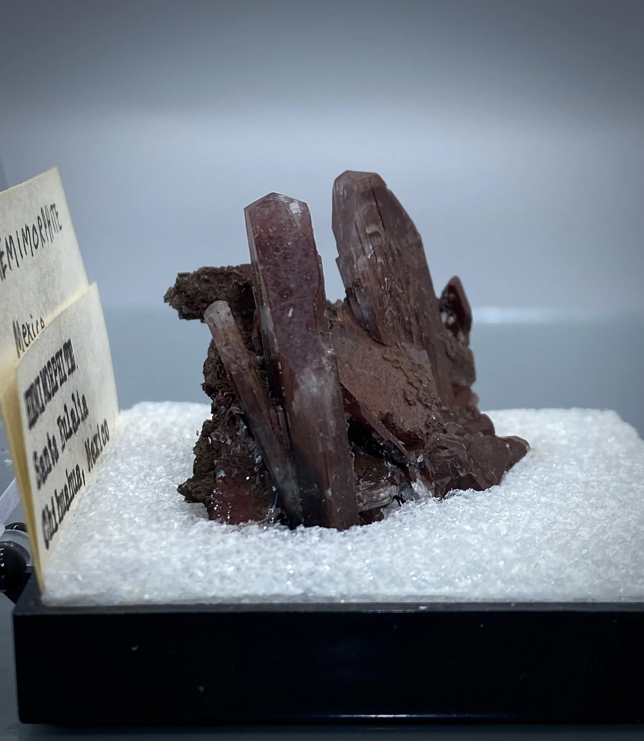 IMG_2091.jpeg (Copy)