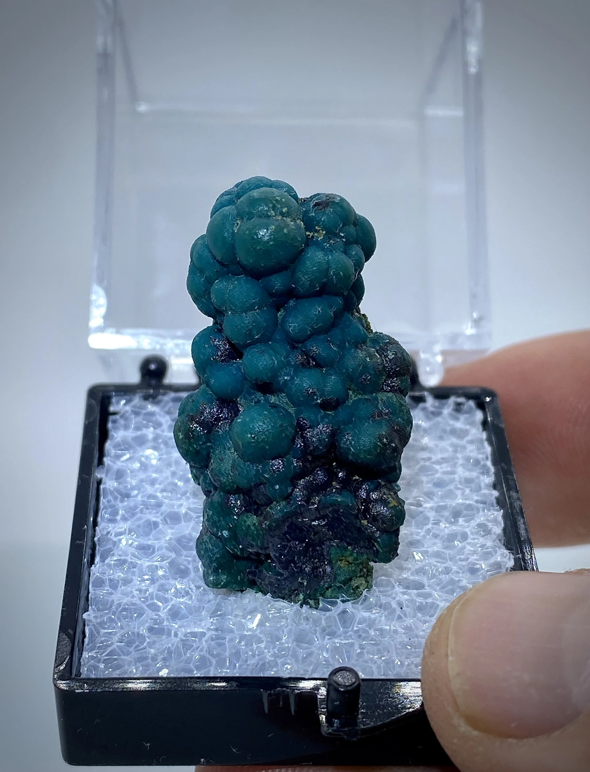 CHRYSOCOLLA - LUDWIG MINE NEVADA 8.jpeg