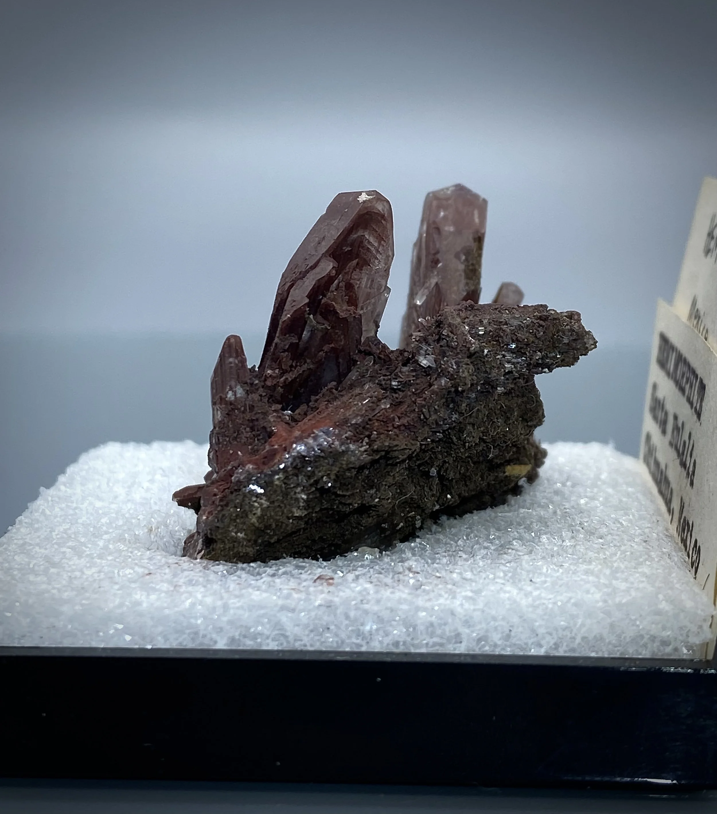 IMG_2088.jpeg (Copy)