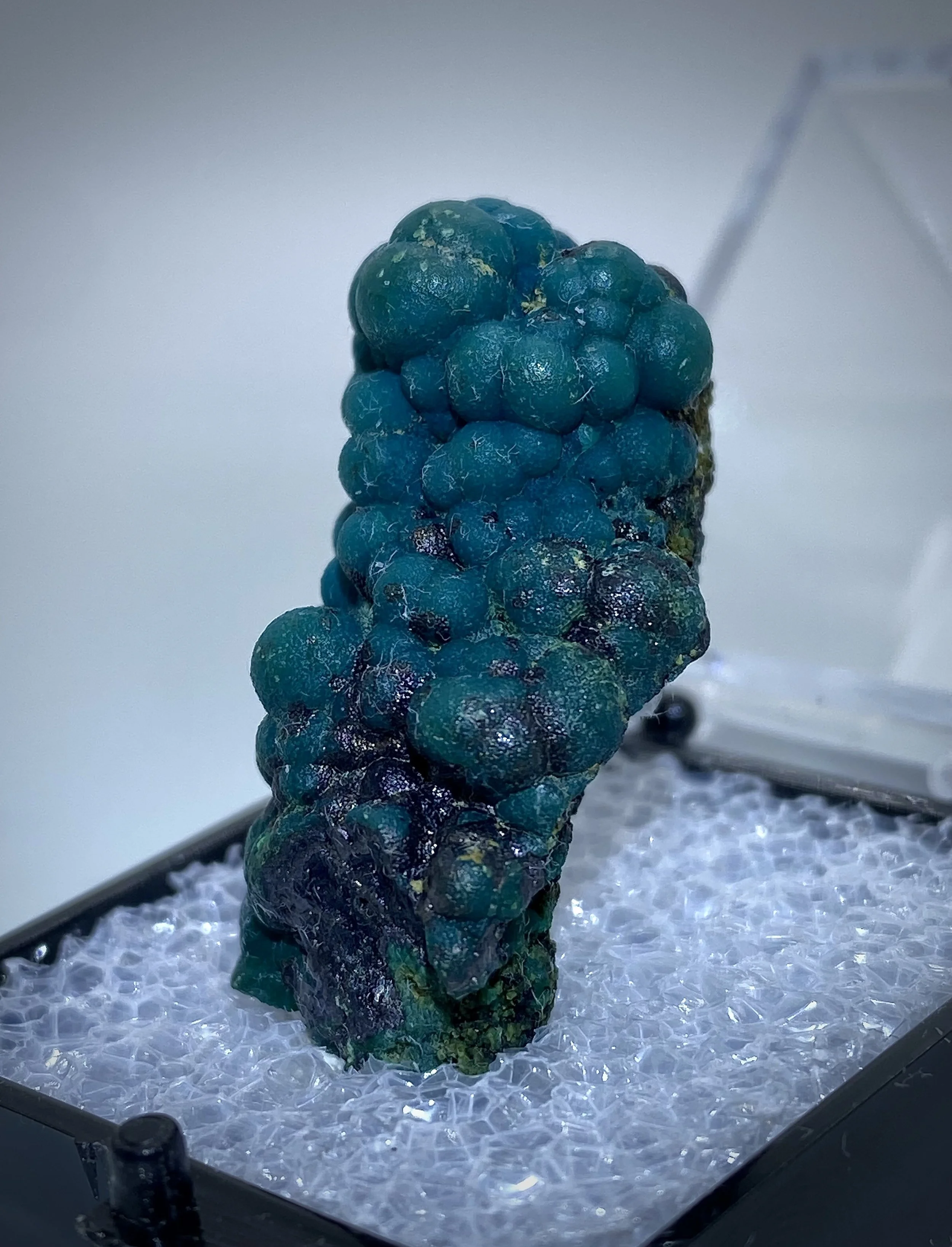 CHRYSOCOLLA - LUDWIG MINE NEVADA 2.jpeg