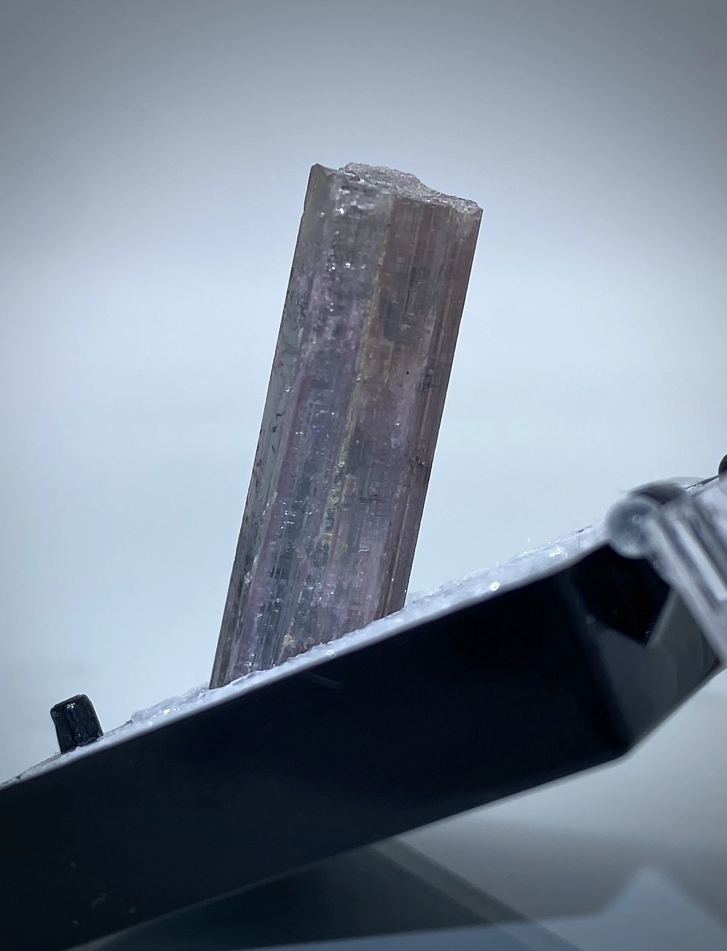 TOURMALINE - HIMALAYA MINE, CALIFORNIA 8.jpeg