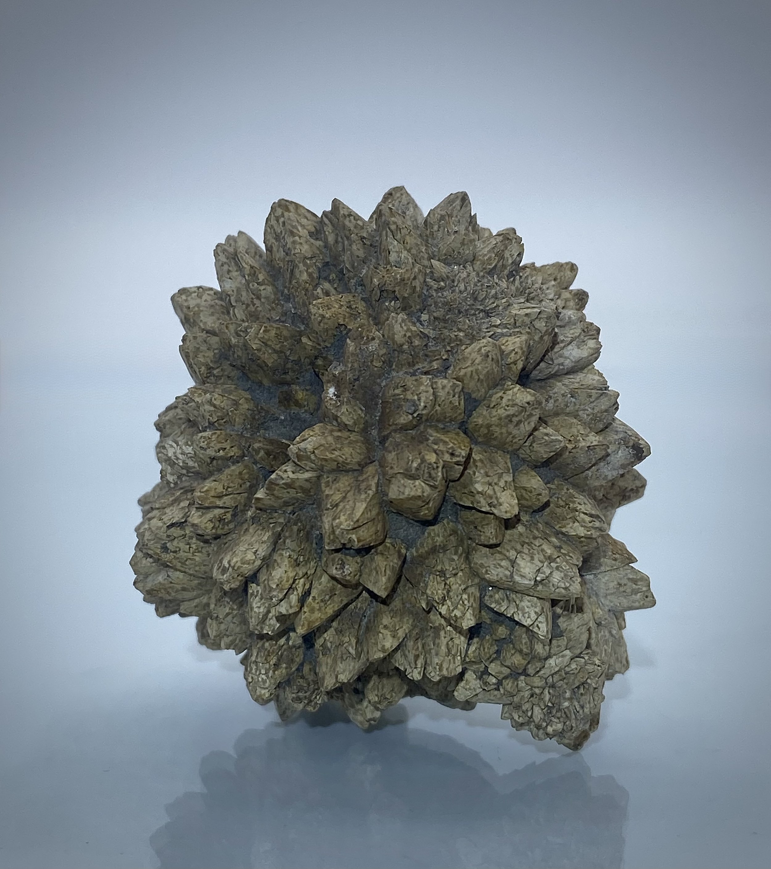 PINEAPPLE CALCITE - THE DALLES, OREGON 2.jpeg
