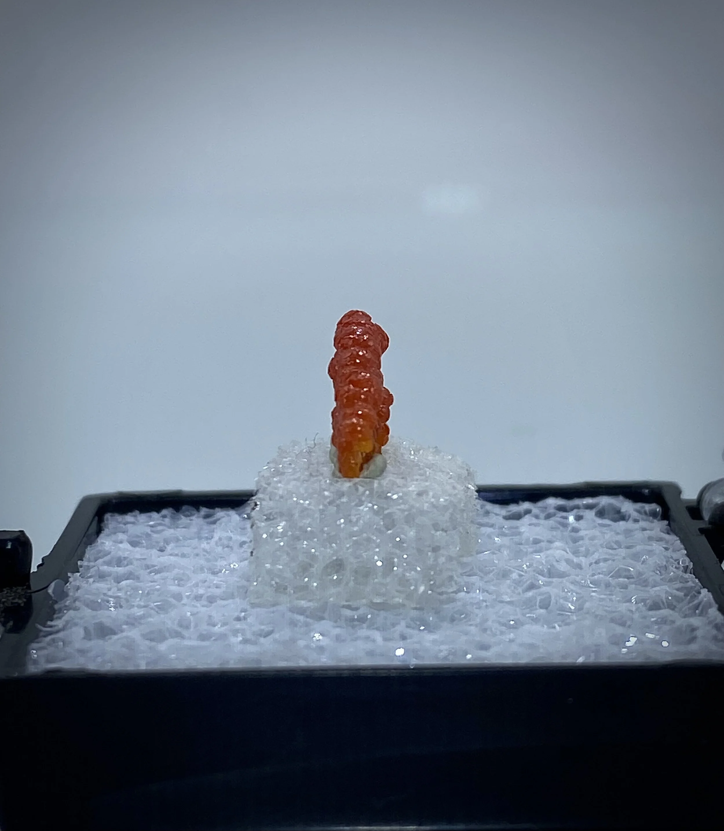 MIMETITE ON WULFENITE, ROWLEY MINE, ARIZONA 5.jpeg