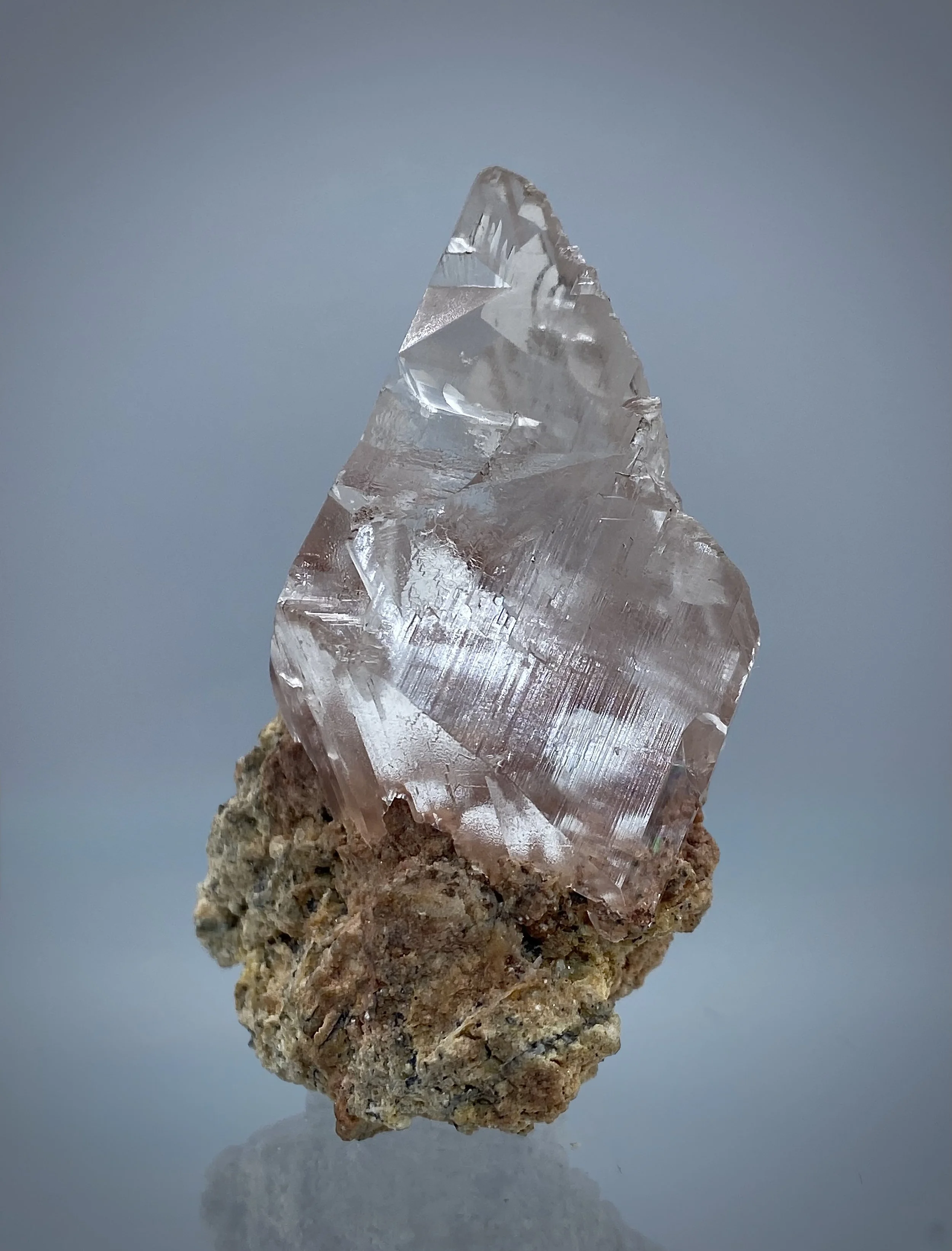 IMG_2065.jpeg (Copy)