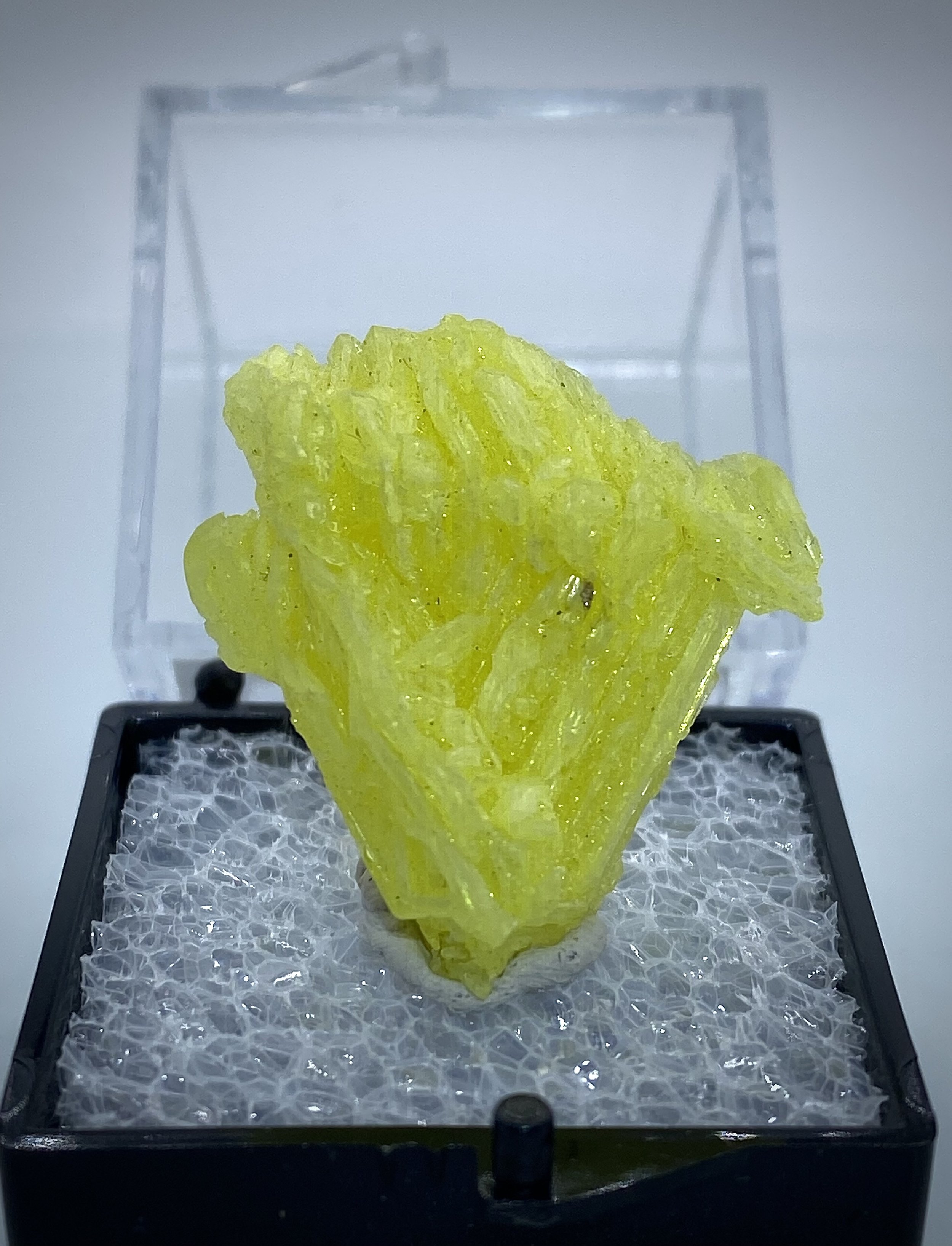 SULFUR-STEAMBOAT SPRINGS, NEVADA 1.jpeg