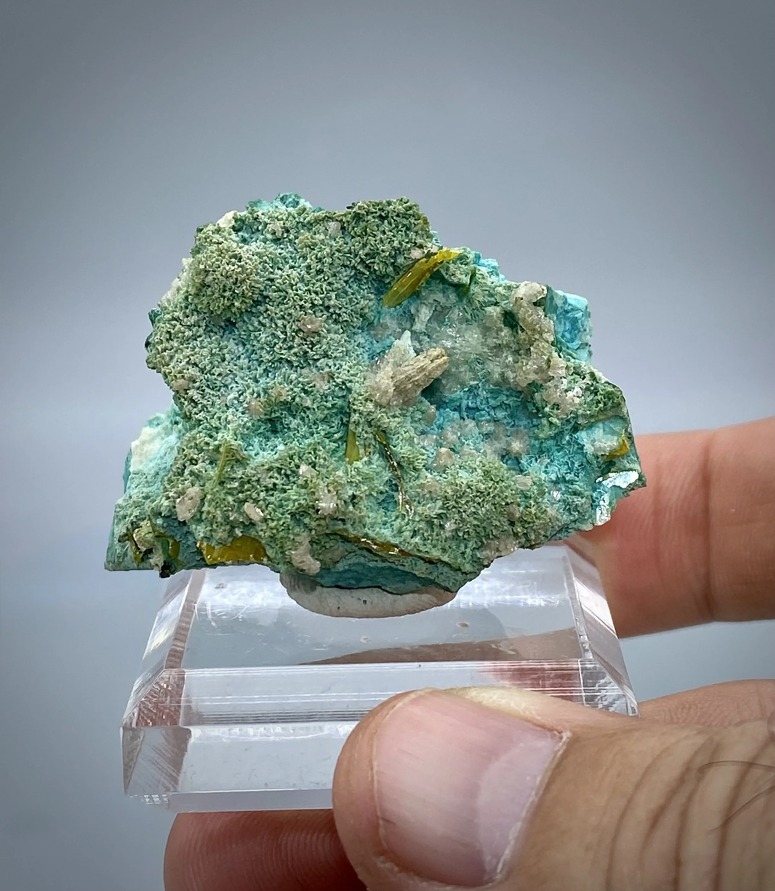 CERUSSITE & CHRYSOCOLLA - 79 MINE ARIZONA 10.jpeg