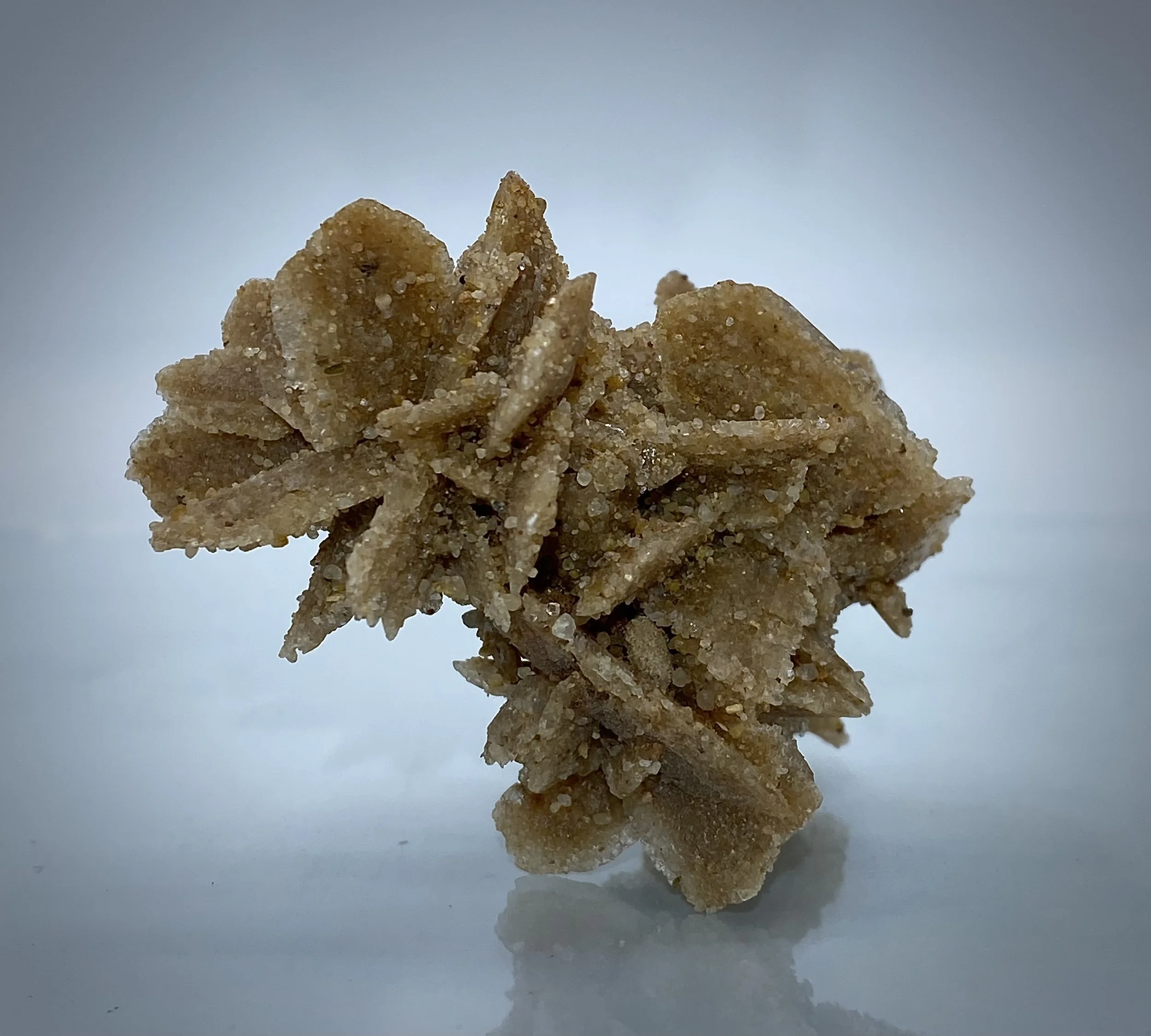 Selenite Great Salt Plains Jet Oklahoma 7.jpeg