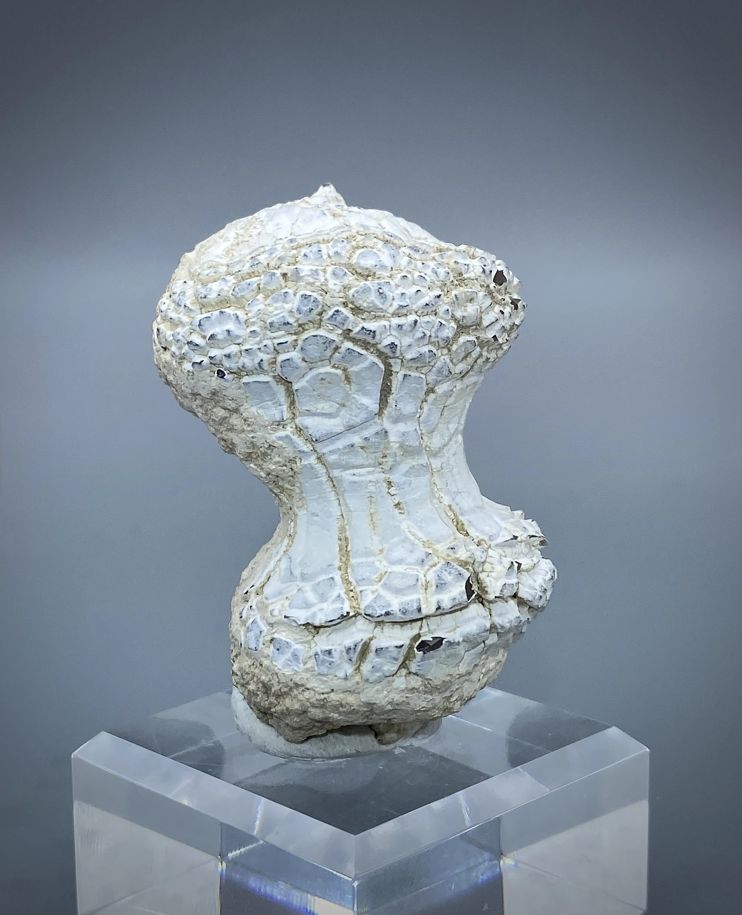 Snakeskin Agate, Rome, Malheur County, Oregon 7.jpeg