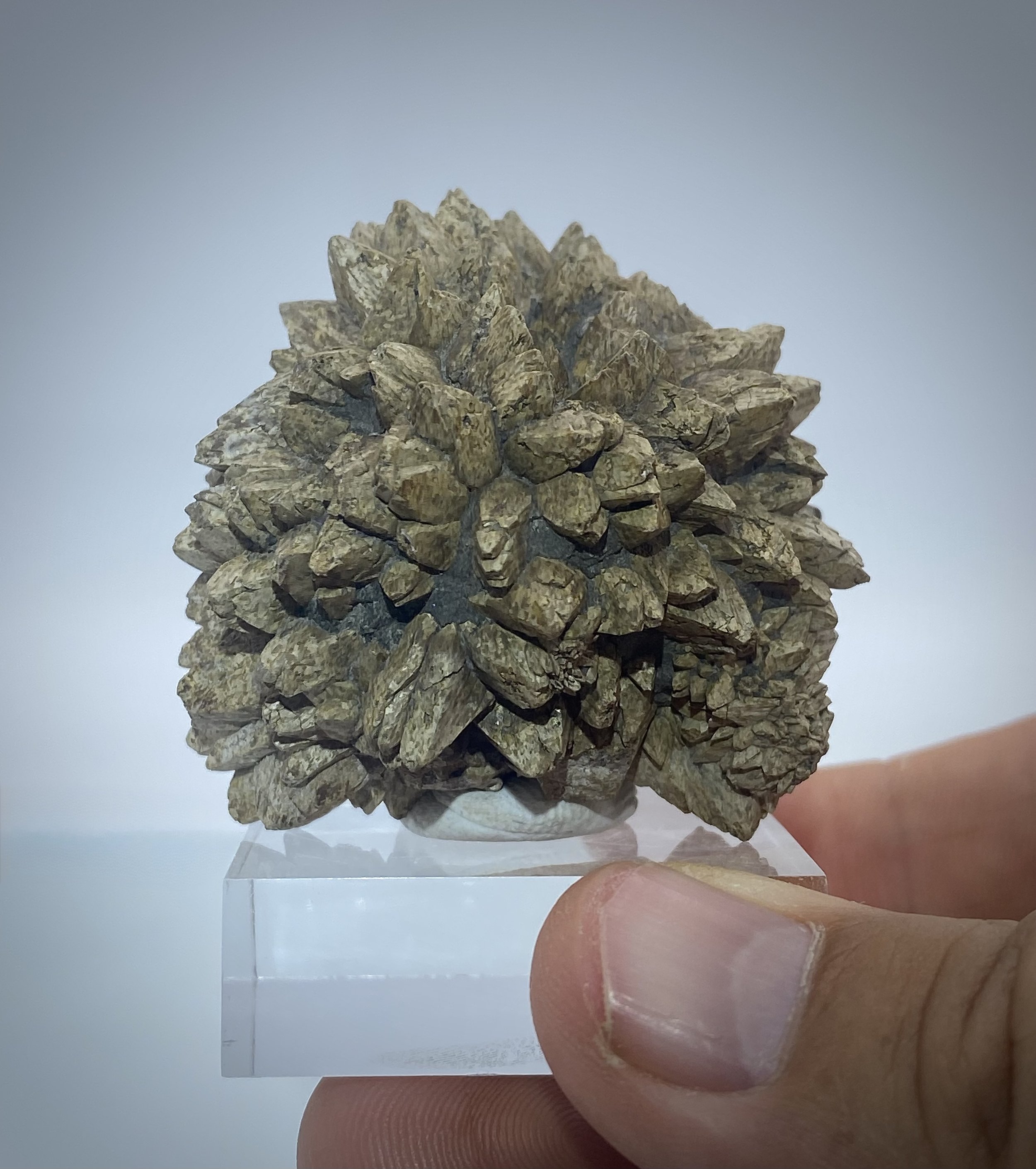 PINEAPPLE CALCITE - THE DALLES, OREGON 7.jpeg
