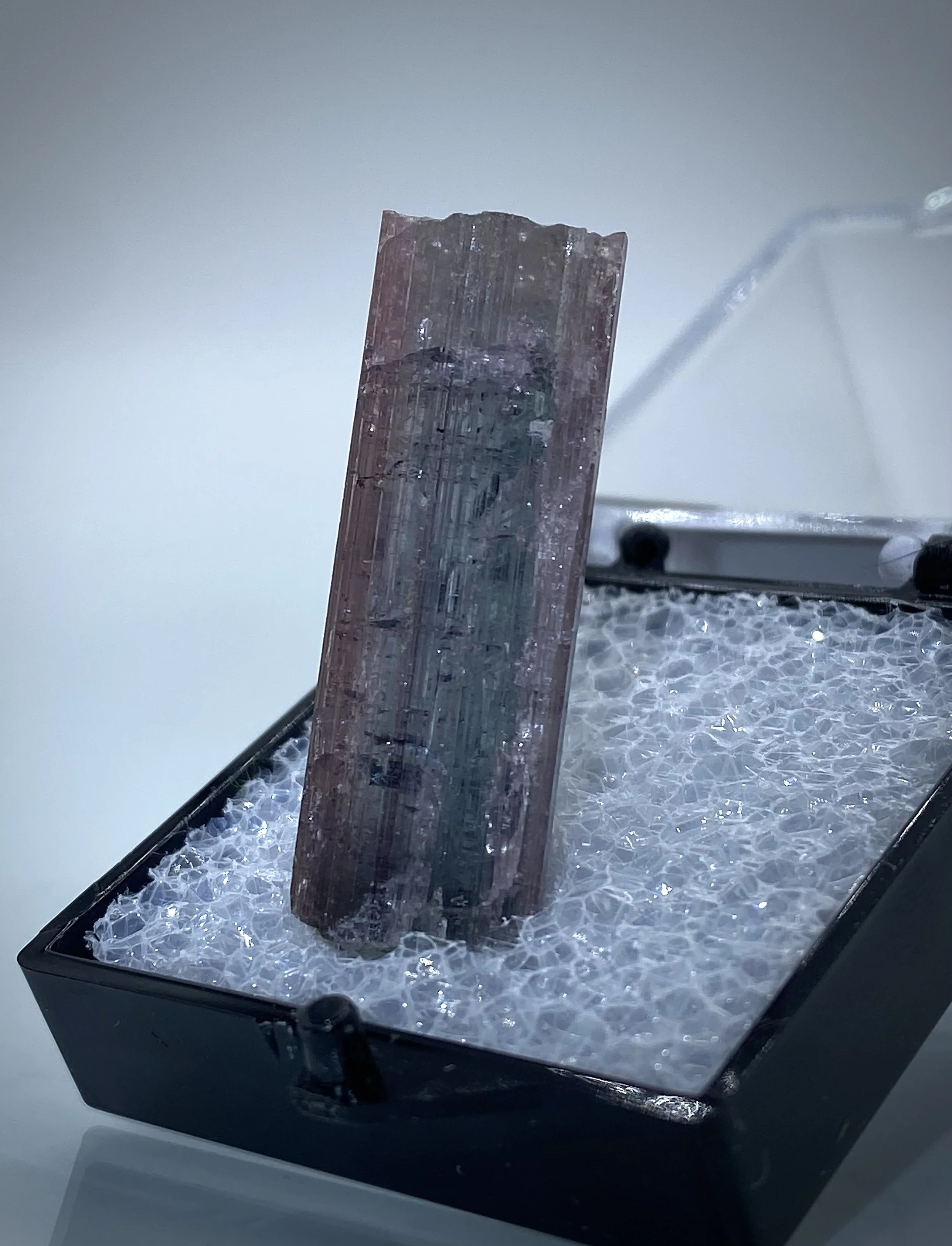 TOURMALINE - HIMALAYA MINE, CALIFORNIA 4.jpeg