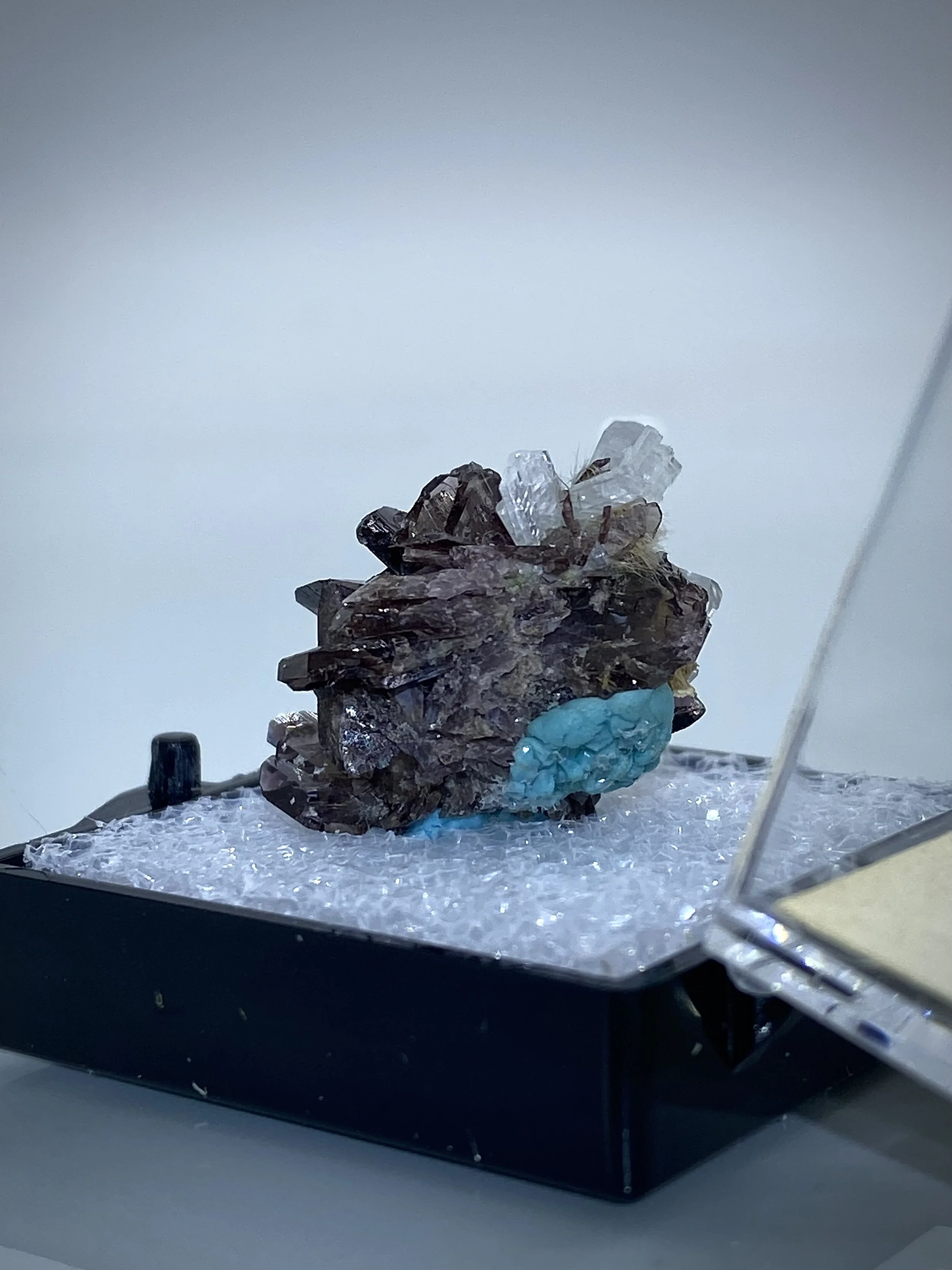 FERROAXINITE - NEW MELONES DAM, CALIFORNIA 6.jpeg