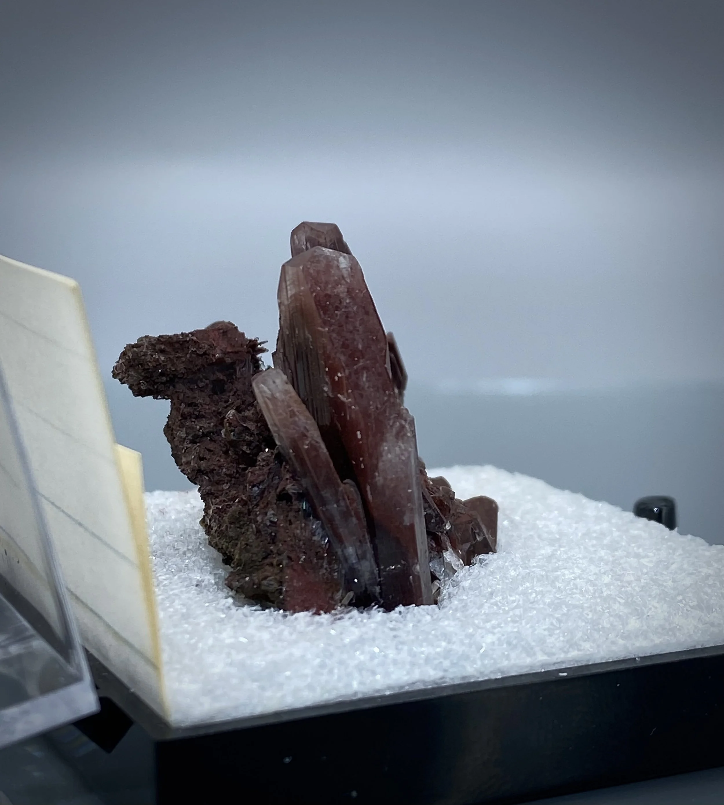 IMG_2090.jpeg (Copy)