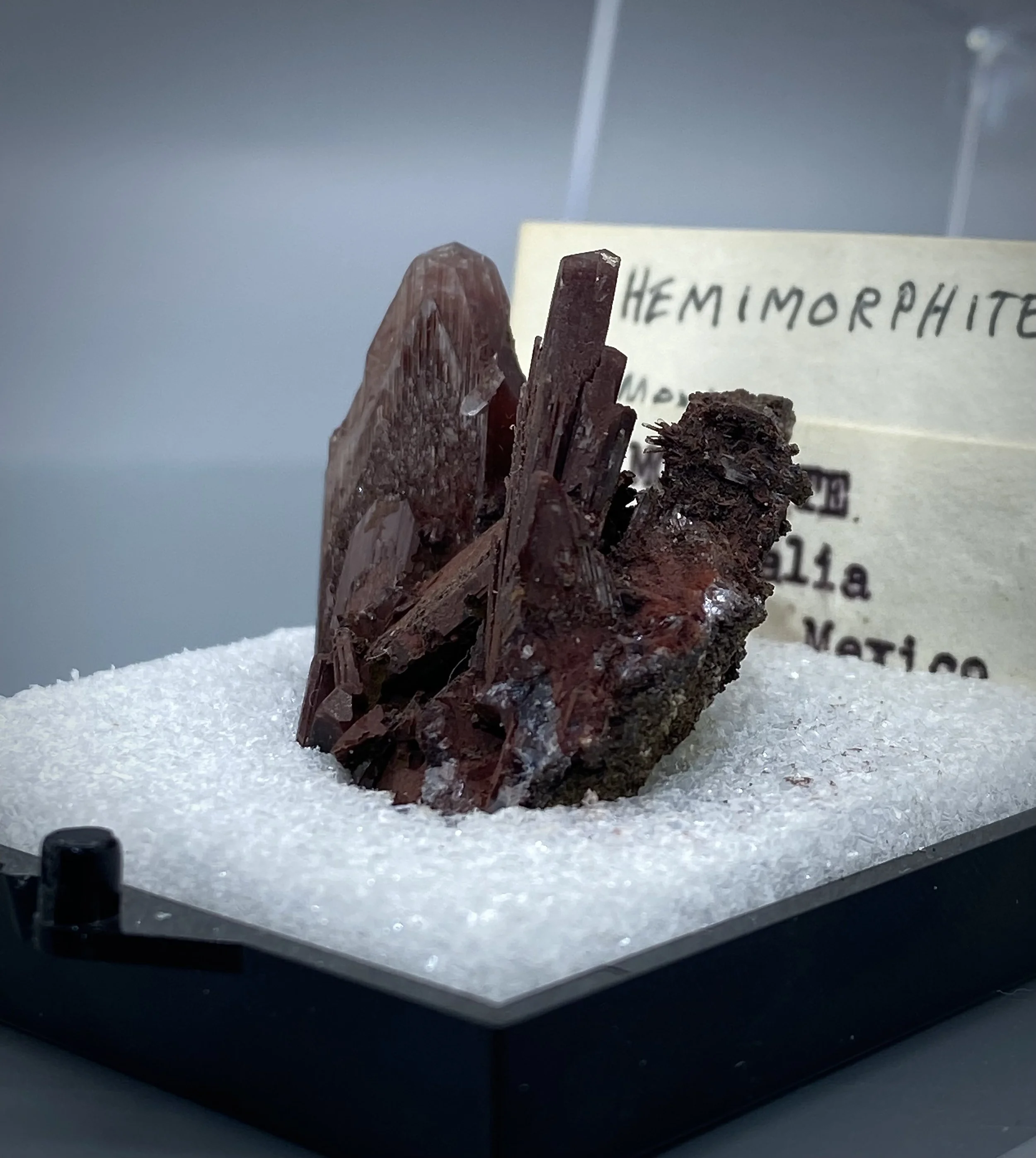 IMG_2087.jpeg (Copy)