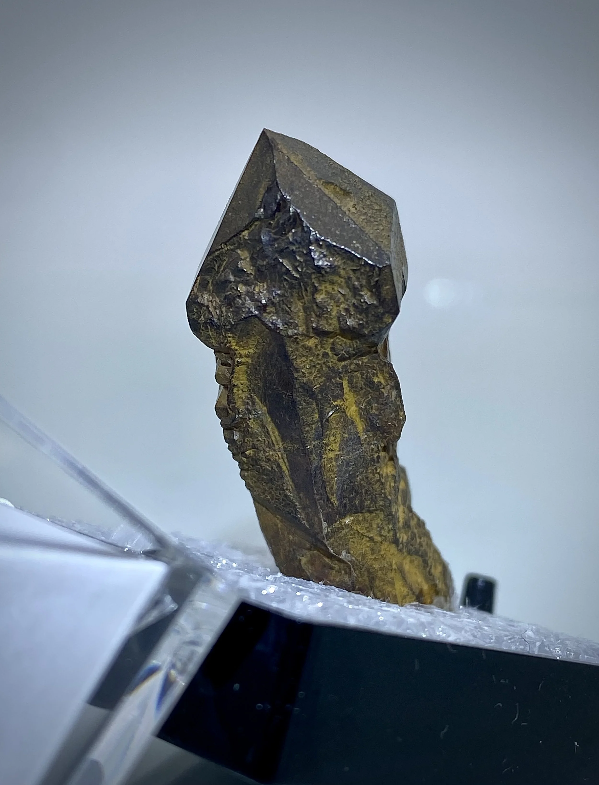 QUARTZ SCEPTER, BAGDAD, ARIZONA 8.jpeg