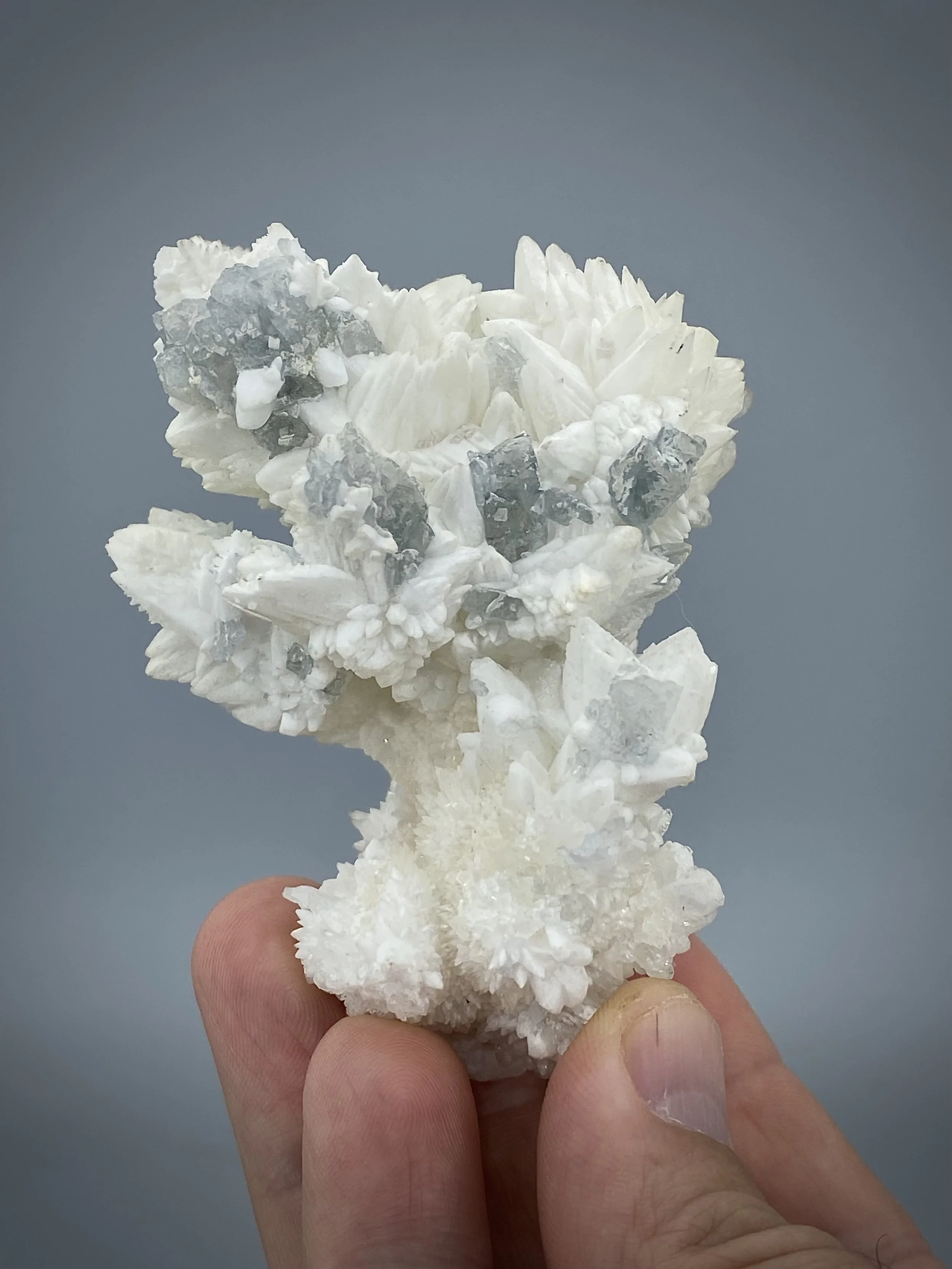 CELESTINE ON CALCITE-MOJINA MINE MEXICO13.jpeg