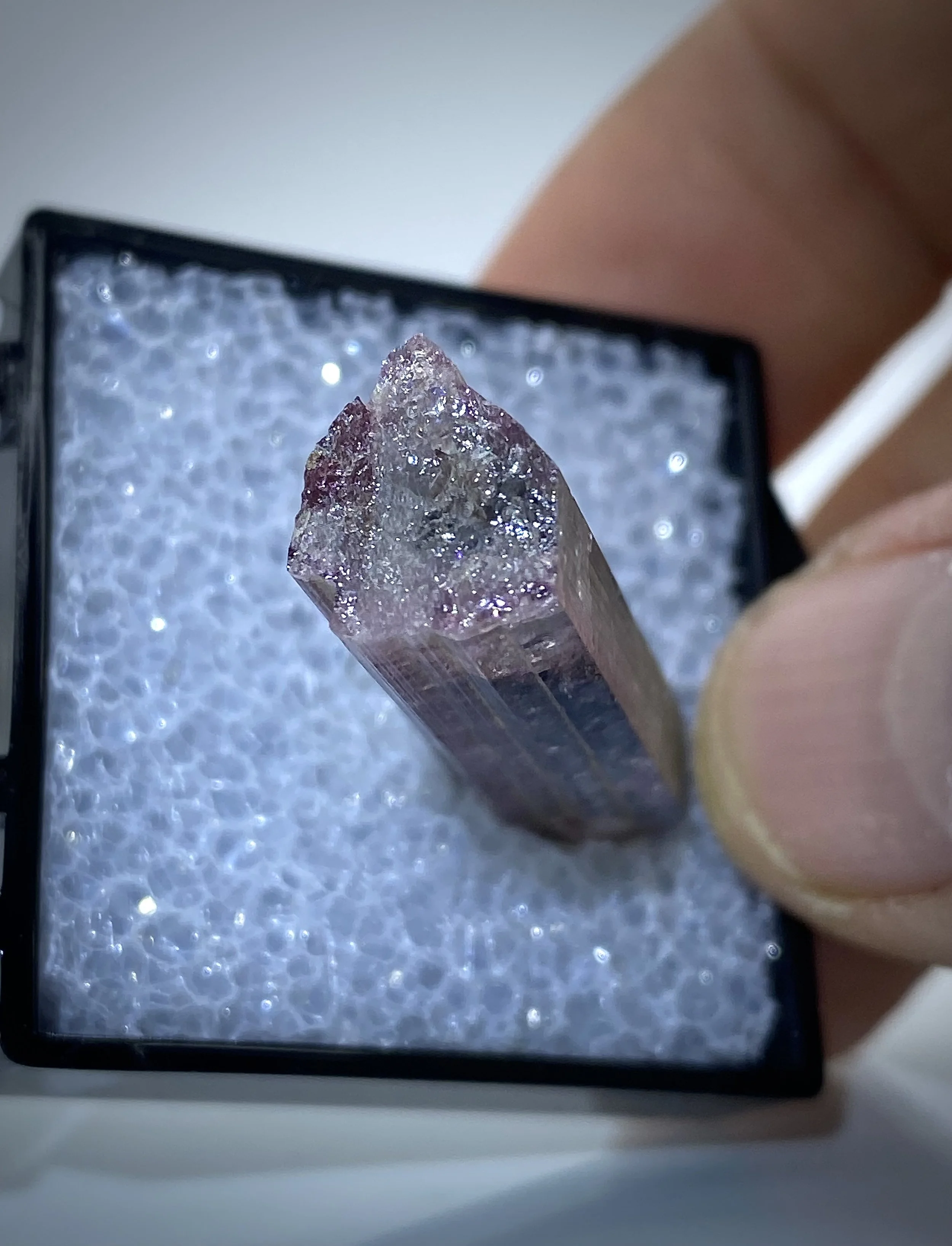 TOURMALINE - HIMALAYA MINE, CALIFORNIA 10.jpeg