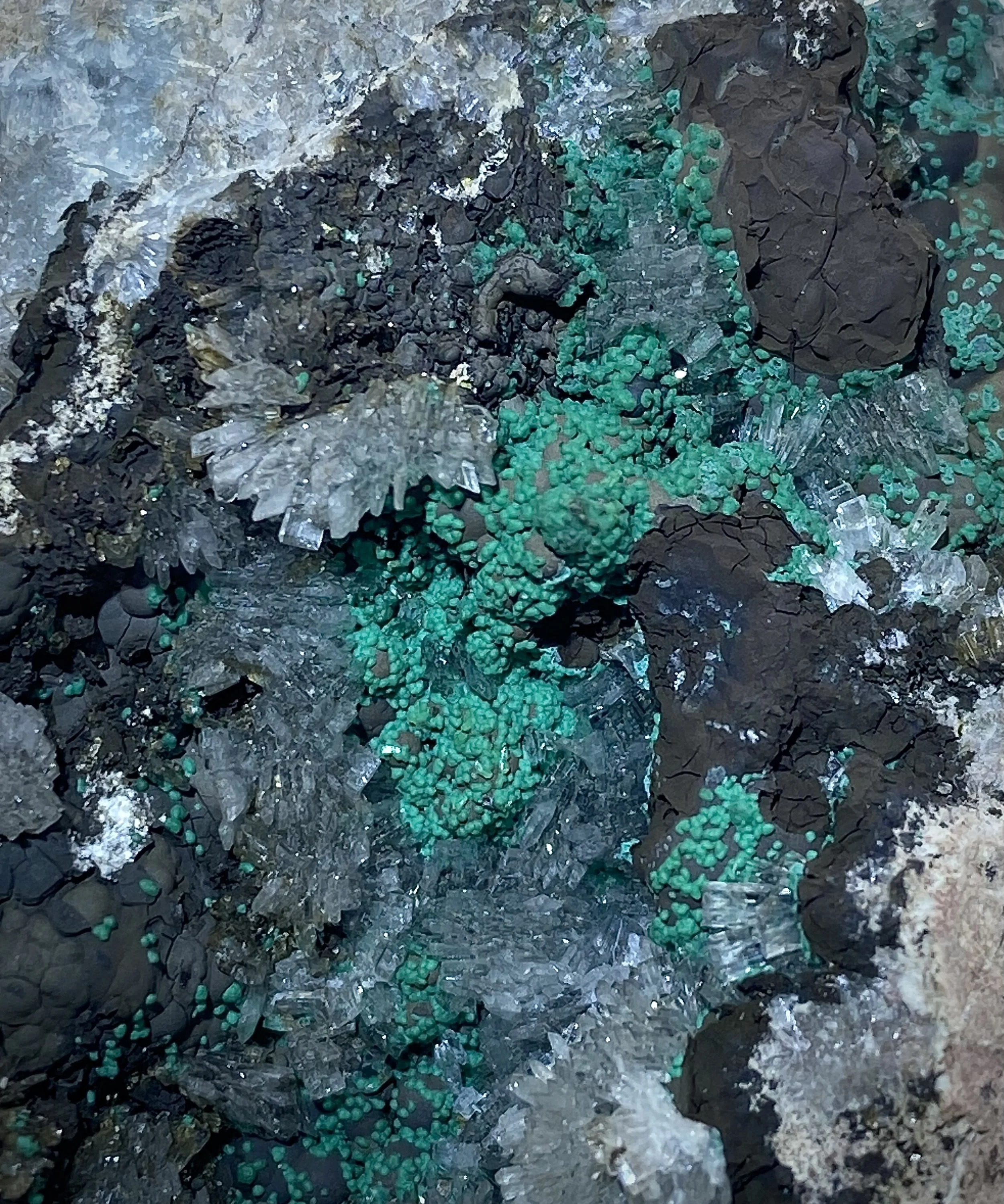Rosasite & Hemimorphite - 4th Level 79 Mine, Dripping Springs Mtns, Gila County, Arizona, USA  8.jpeg