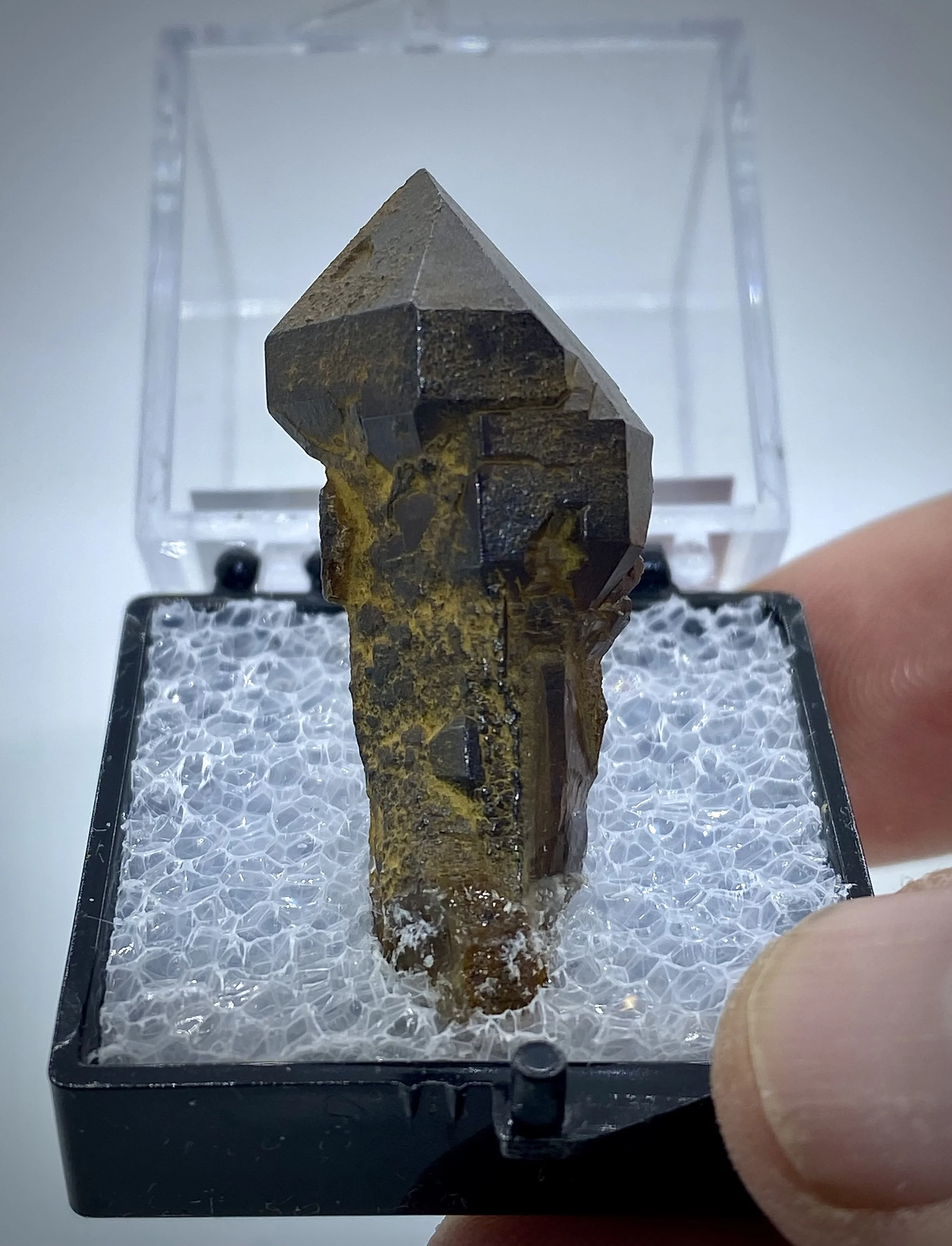 QUARTZ SCEPTER, BAGDAD, ARIZONA 1.jpeg
