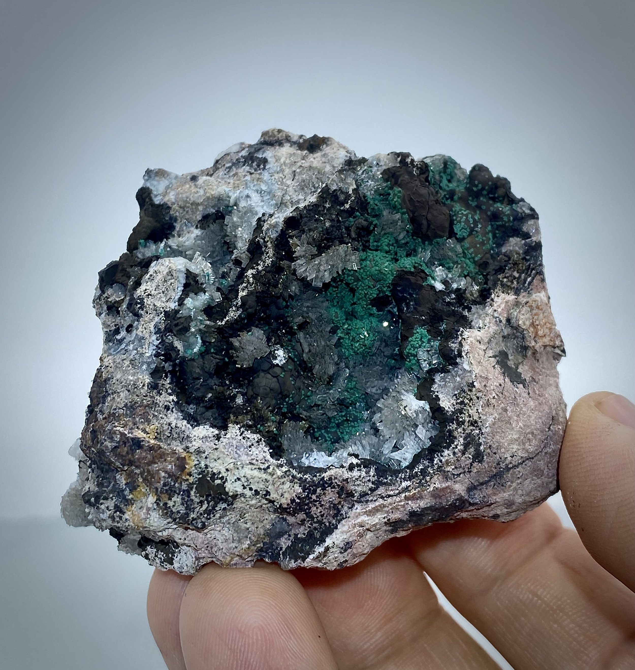 Rosasite & Hemimorphite - 4th Level 79 Mine, Dripping Springs Mtns, Gila County, Arizona, USA  11.jpeg