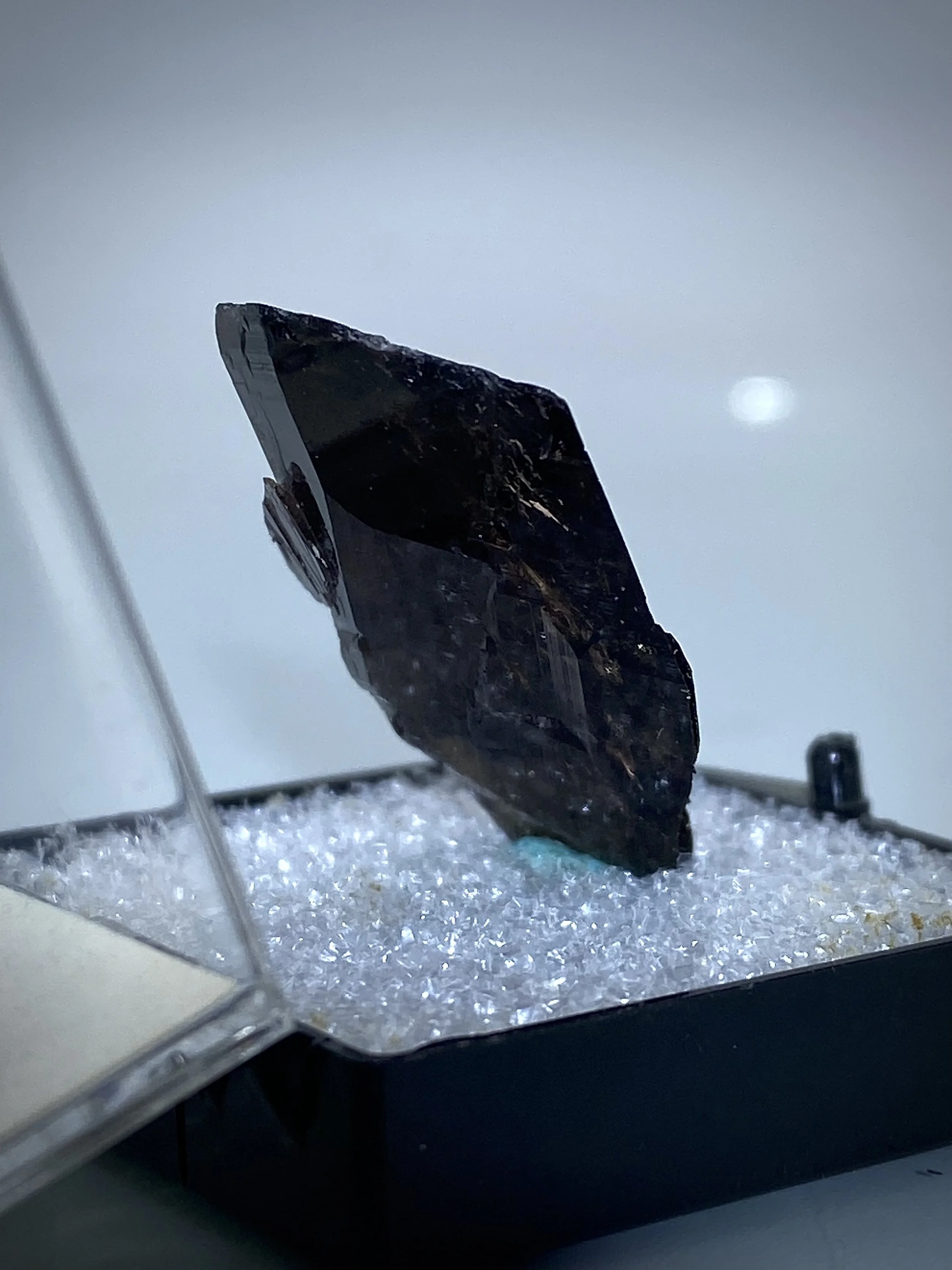 FERROAXINITE - NEW MELONES DAM, CALIFORNIA 7.jpeg