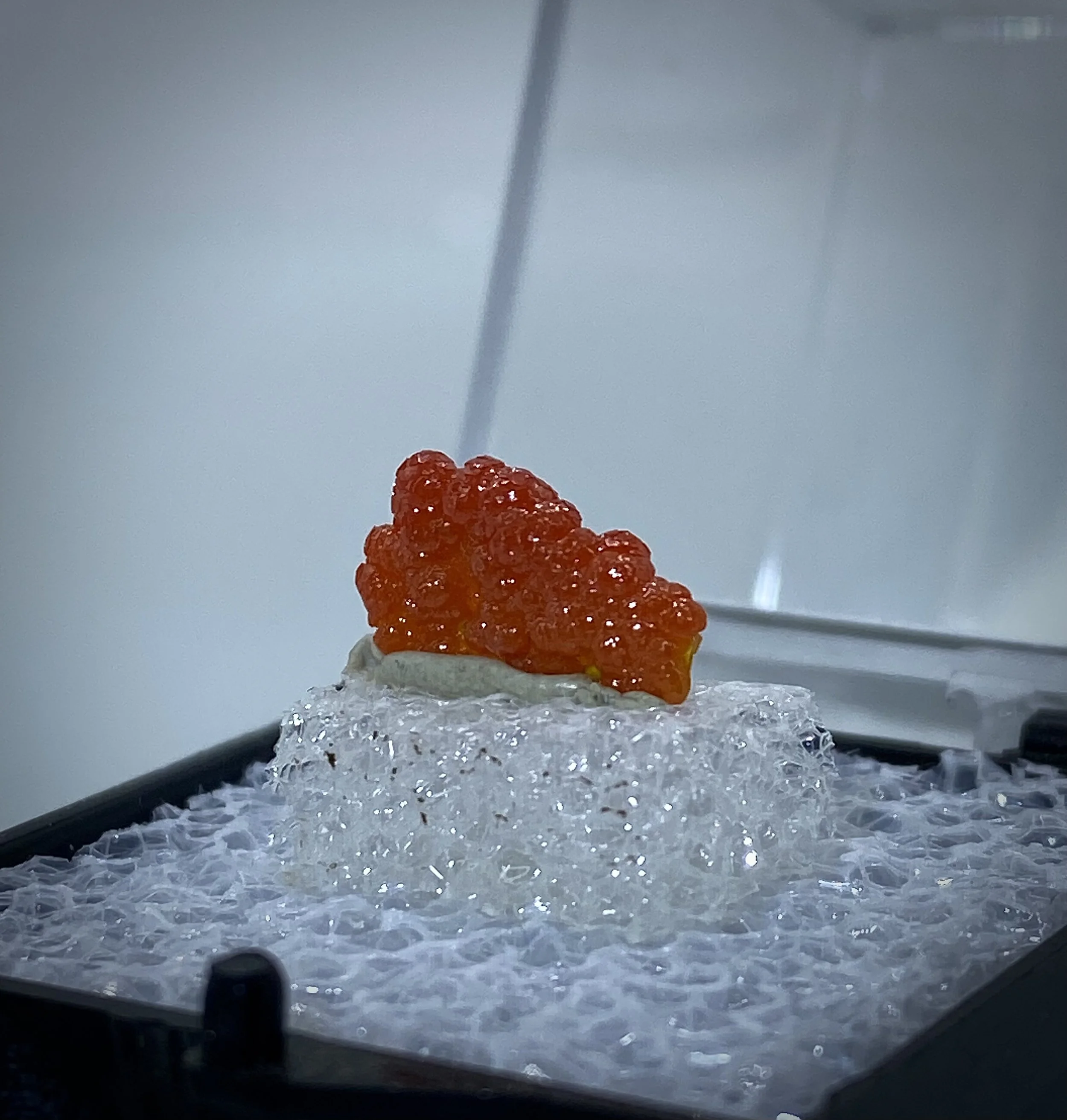 MIMETITE ON WULFENITE, ROWLEY MINE, ARIZONA 2.jpeg