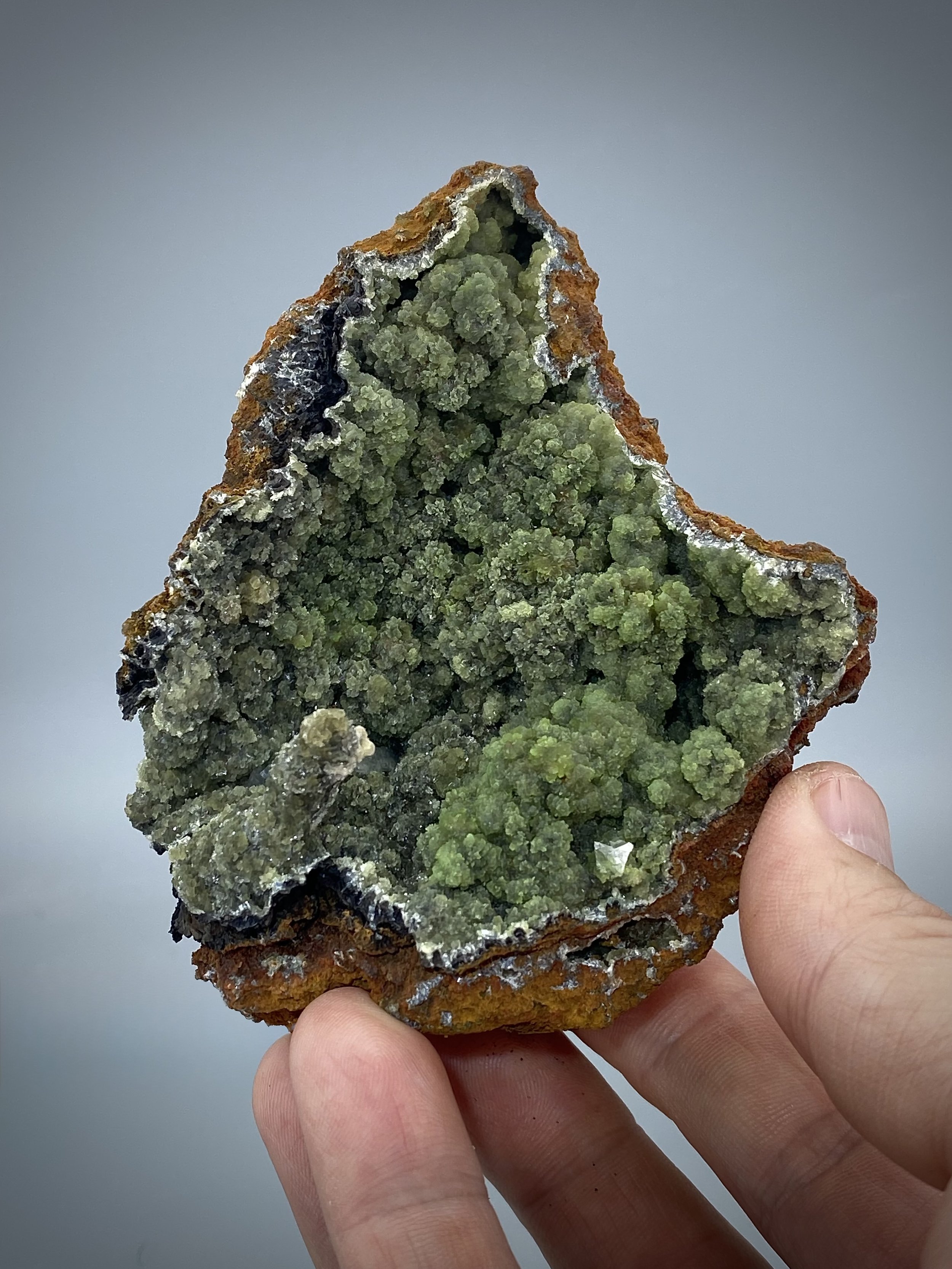 AUSTINITE-OJUELA MINE MEXICO9.jpeg