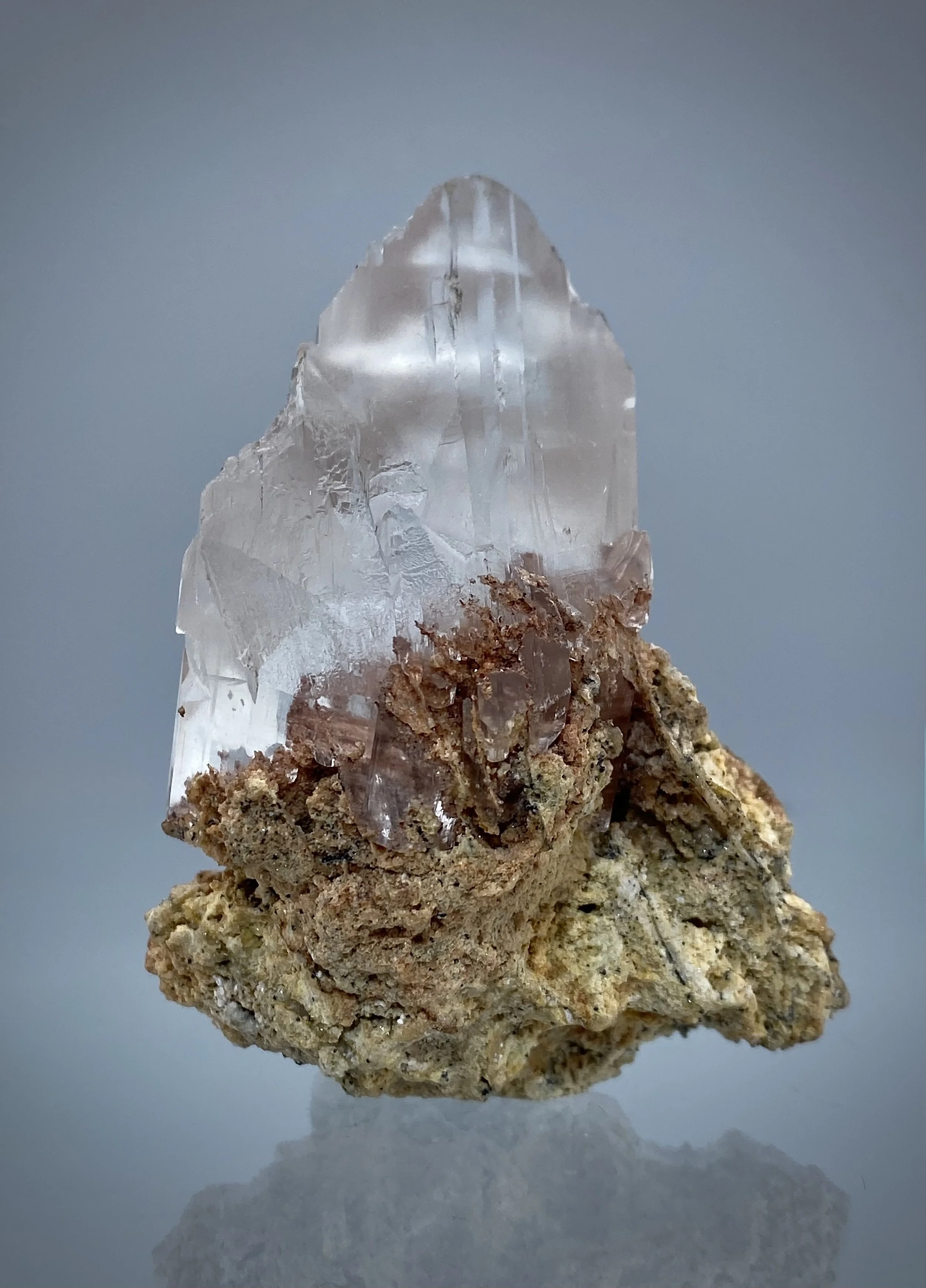 IMG_2064.jpeg (Copy)